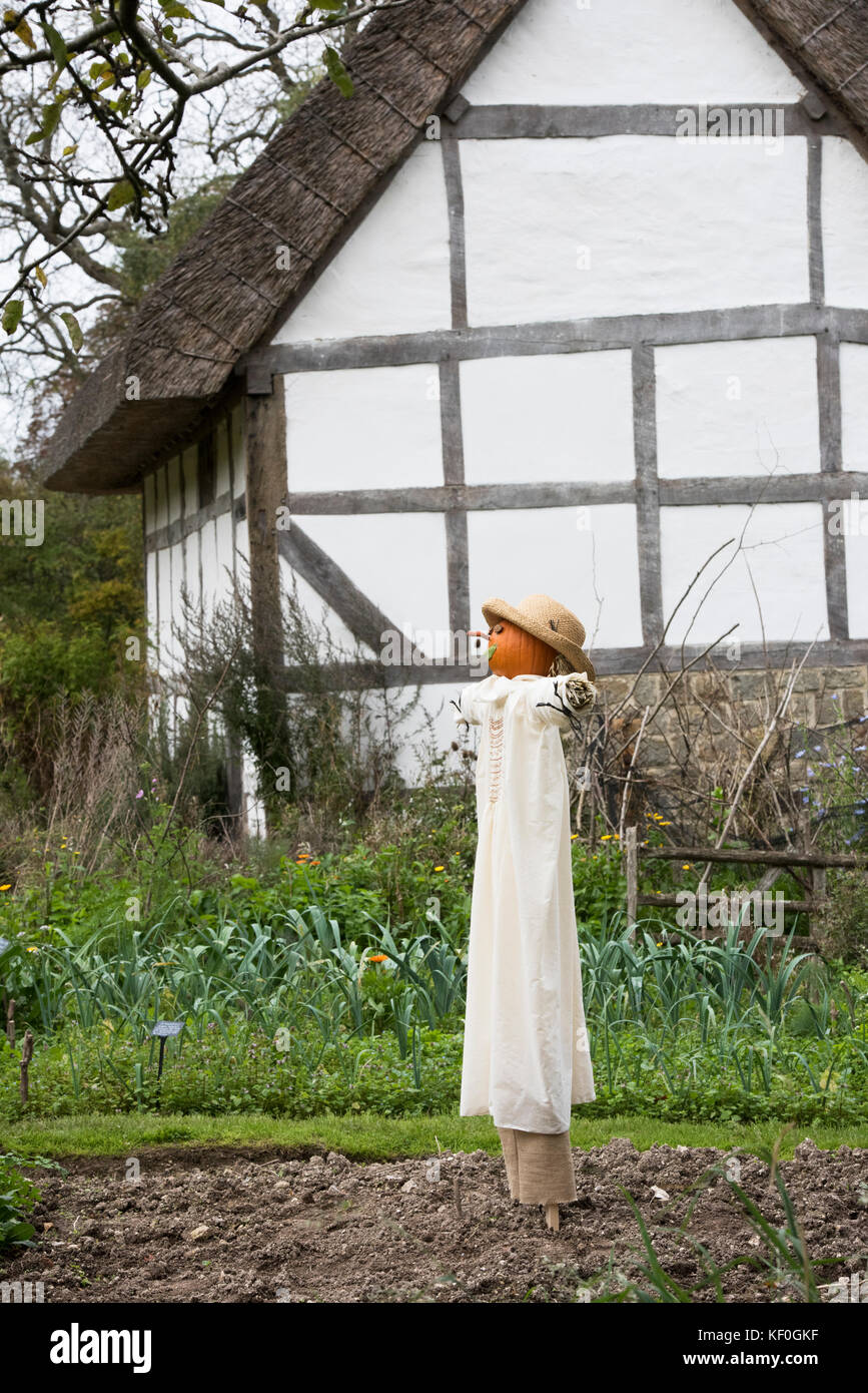Vecchio stile testa di zucca spaventapasseri nella parte anteriore di un legname medievale incorniciata casa a Weald and Downland museum, autunno mostra, Singleton, Sussex, Inghilterra Foto Stock
