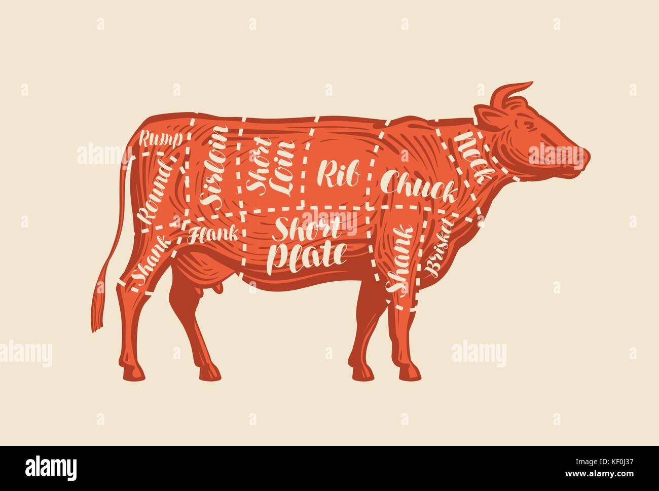 Carte per tagliare la carne. Mucca, macelleria, manzo. Illustrazione vettoriale Illustrazione Vettoriale