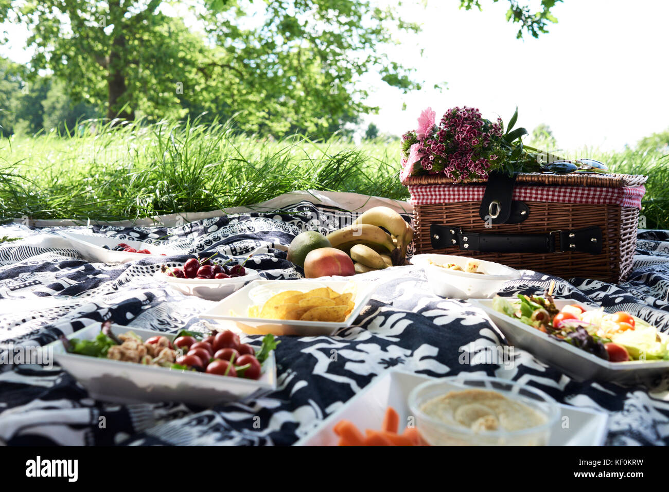 Regno Unito, London, Hampstead Heath Park, dettagli di cibo sano sulla coperta picnic, amici picnic al parco Foto Stock
