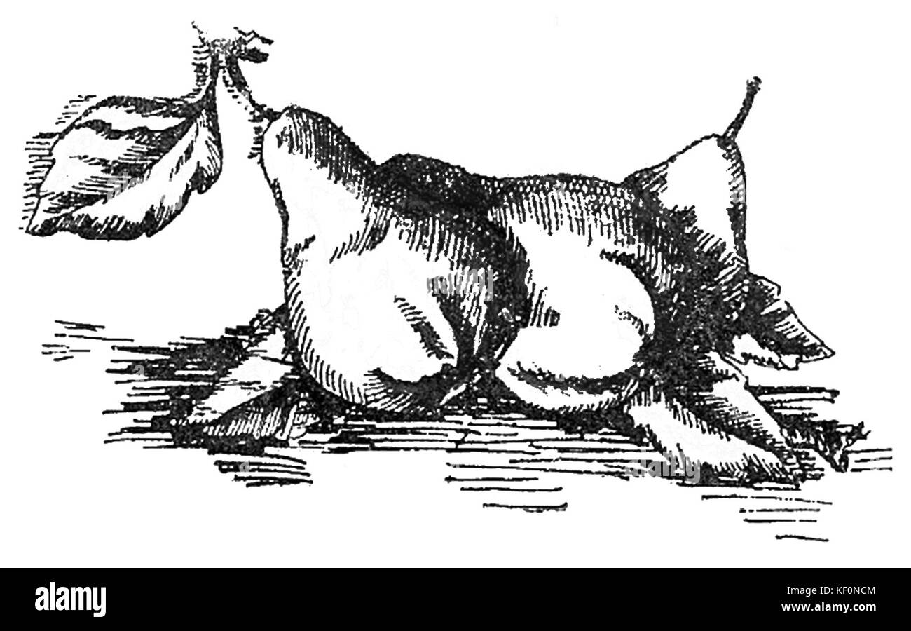 Questa voce presenta una pagina di un ricettario incentrato sulle conserve di frutta come marmellate, composte e altre conserve di frutta. La pagina fornisce dettagli sui metodi di preparazione. Foto Stock Questa voce presenta una pagina di un ricettario incentrato sulle conserve di frutta come marmellate, composte e altre conserve di frutta. La pagina fornisce dettagli sui metodi di preparazione. Foto Stock