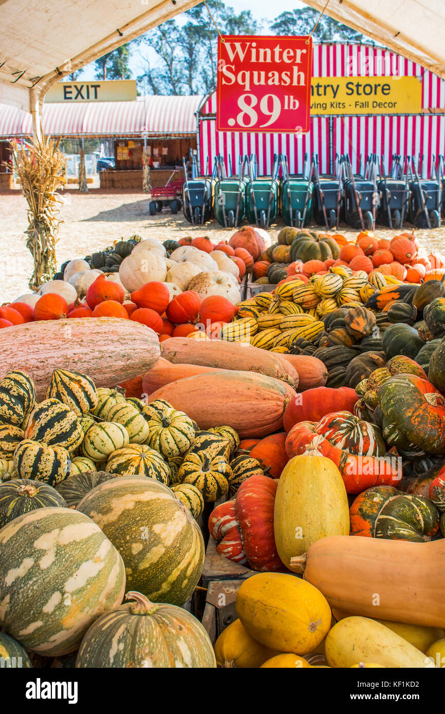 Tabella di luminoso si schiaccia in molte varietà all'aperto sul mercato del paese Foto Stock