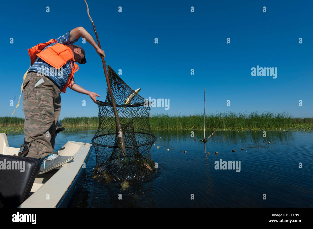 Il Delta del Danubio nella contea di Tulcea, Romania. Fisherman ispeziona la sua rete da pesca. Foto Stock