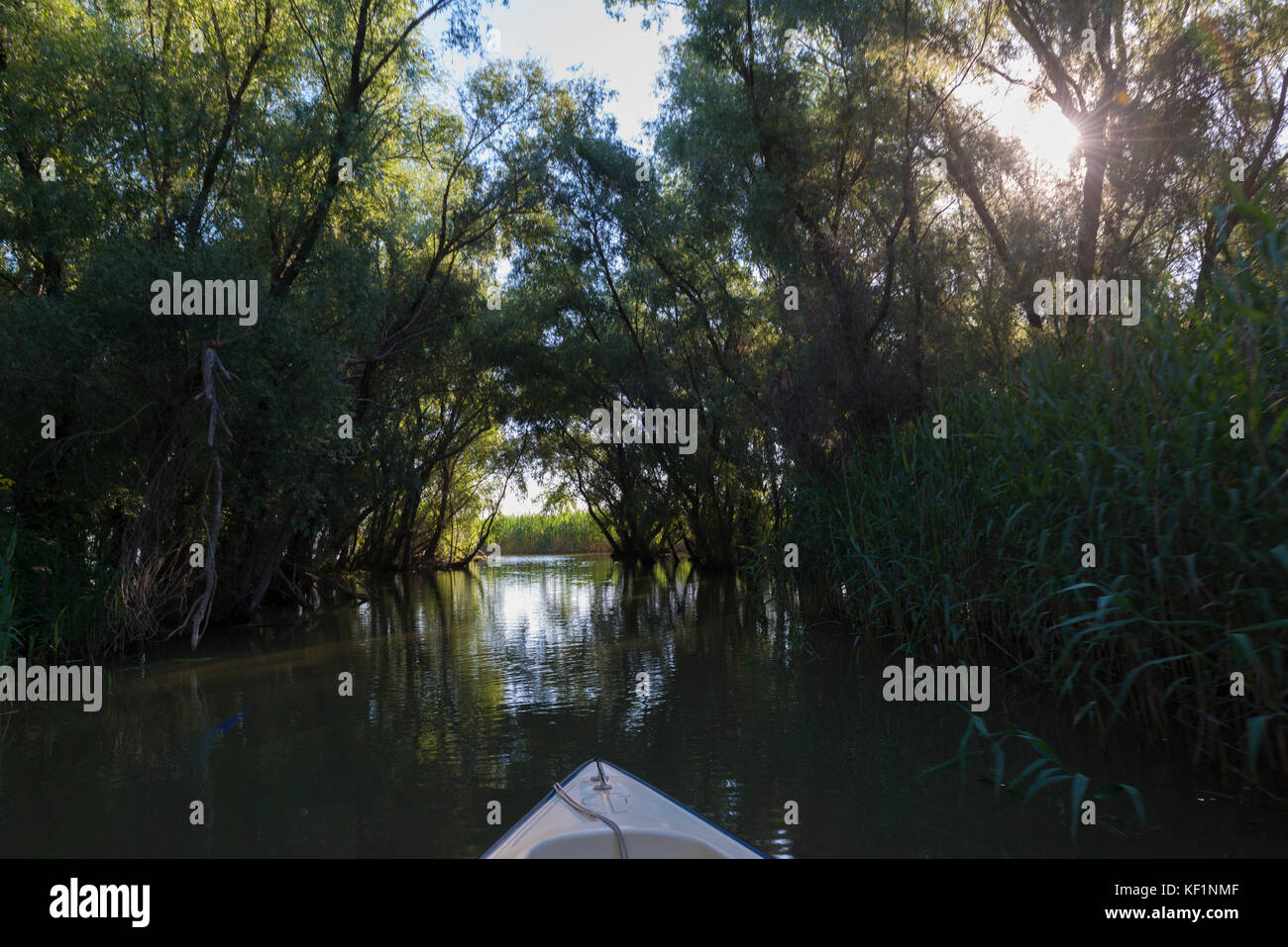 Il Delta del Danubio nella contea di Tulcea, Romania Foto Stock