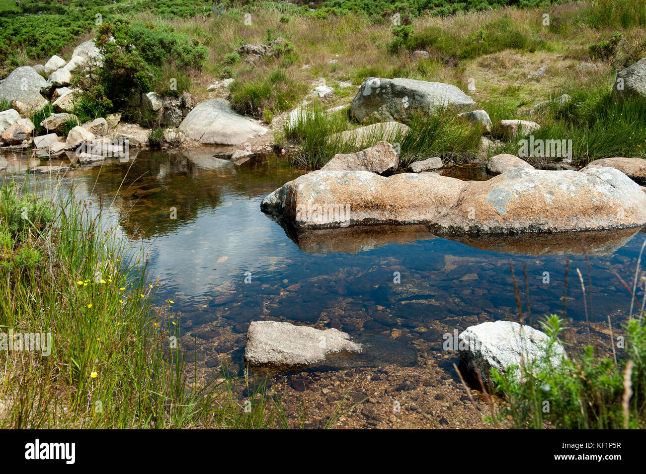Fiume nelle montagne di Wicklow, Irlanda Foto Stock