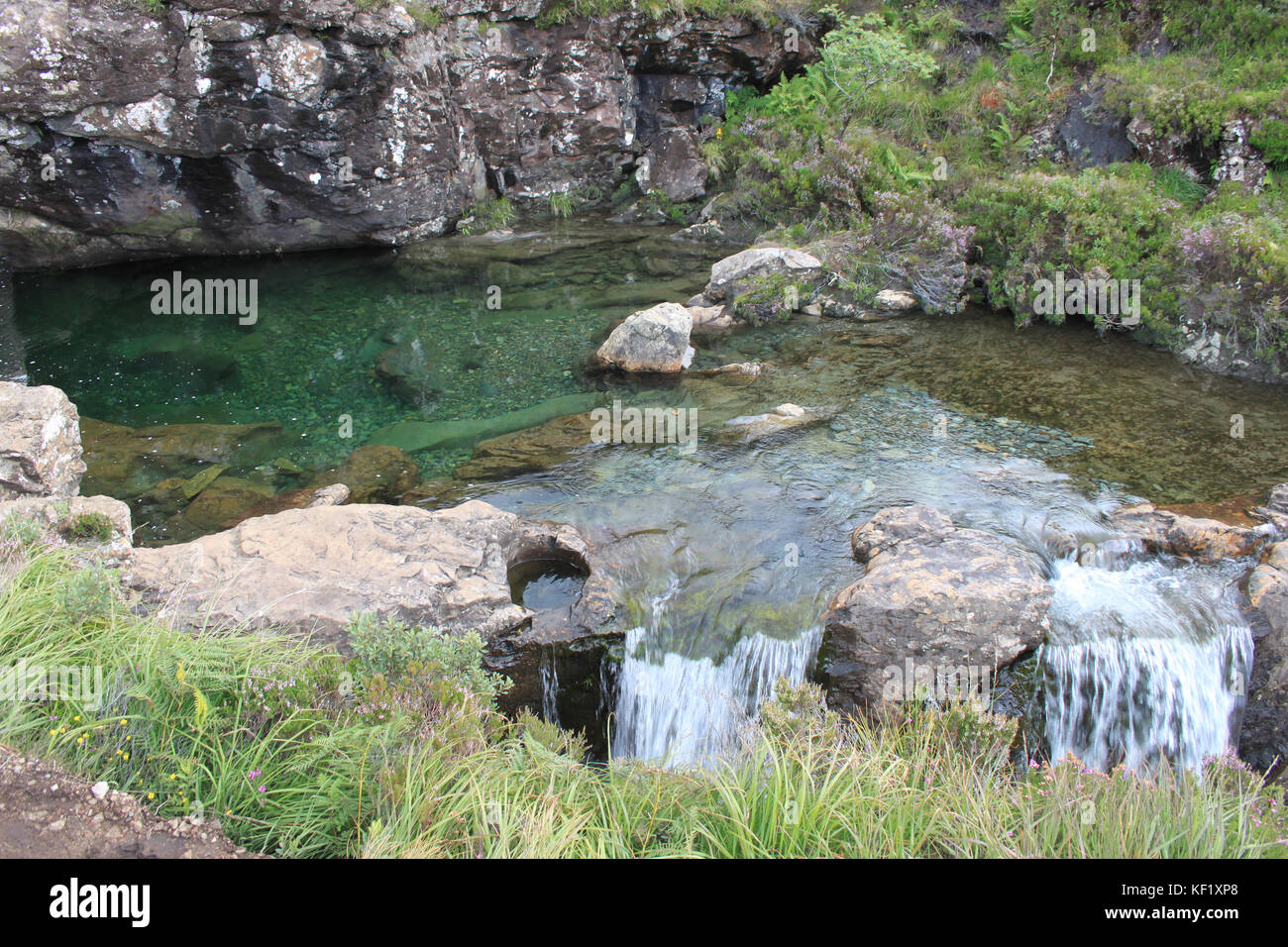 Verde chiaro piscina rocciosa nell'Isola di Skye in Scozia Foto Stock