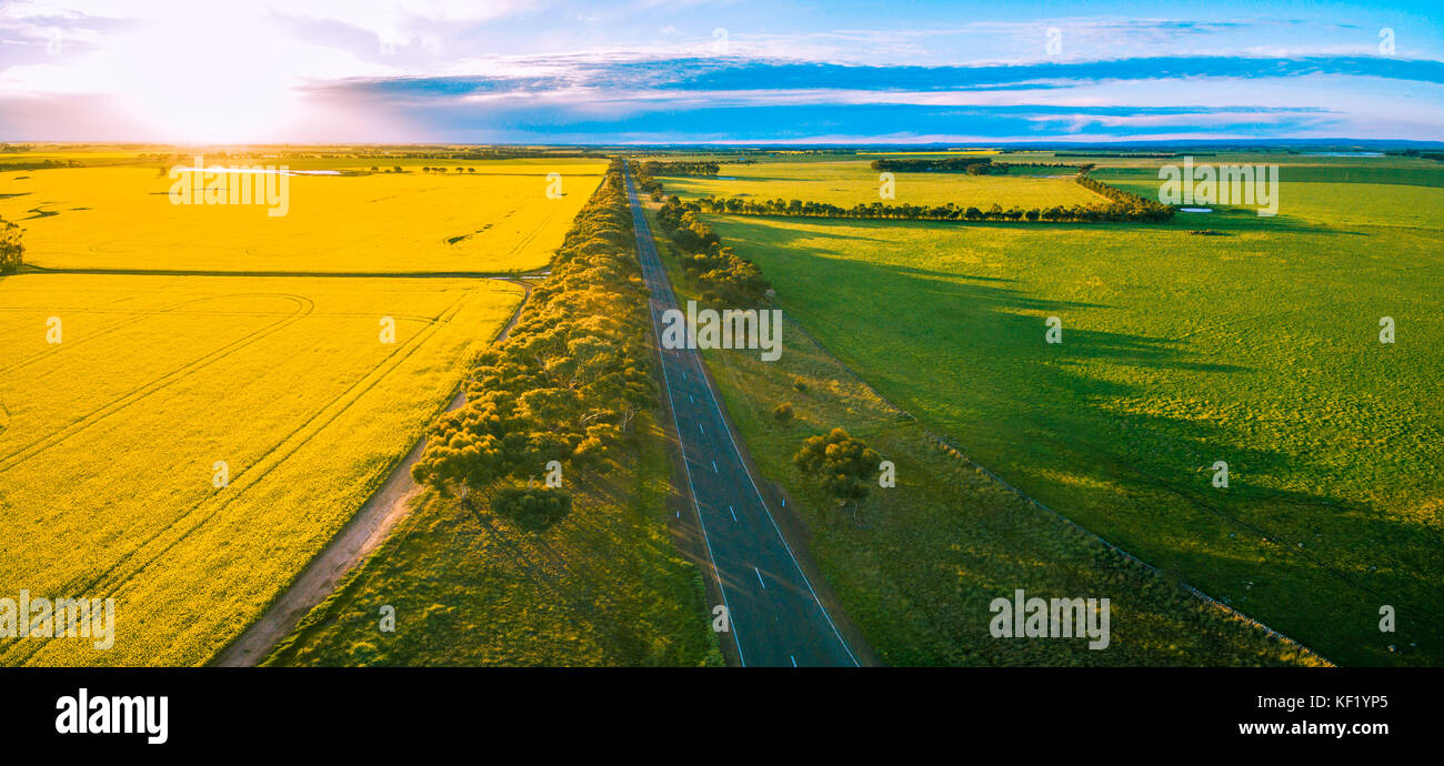 Panoramica aerea di strada rurale passando attraverso i terreni agricoli in campagna australiana al tramonto Foto Stock