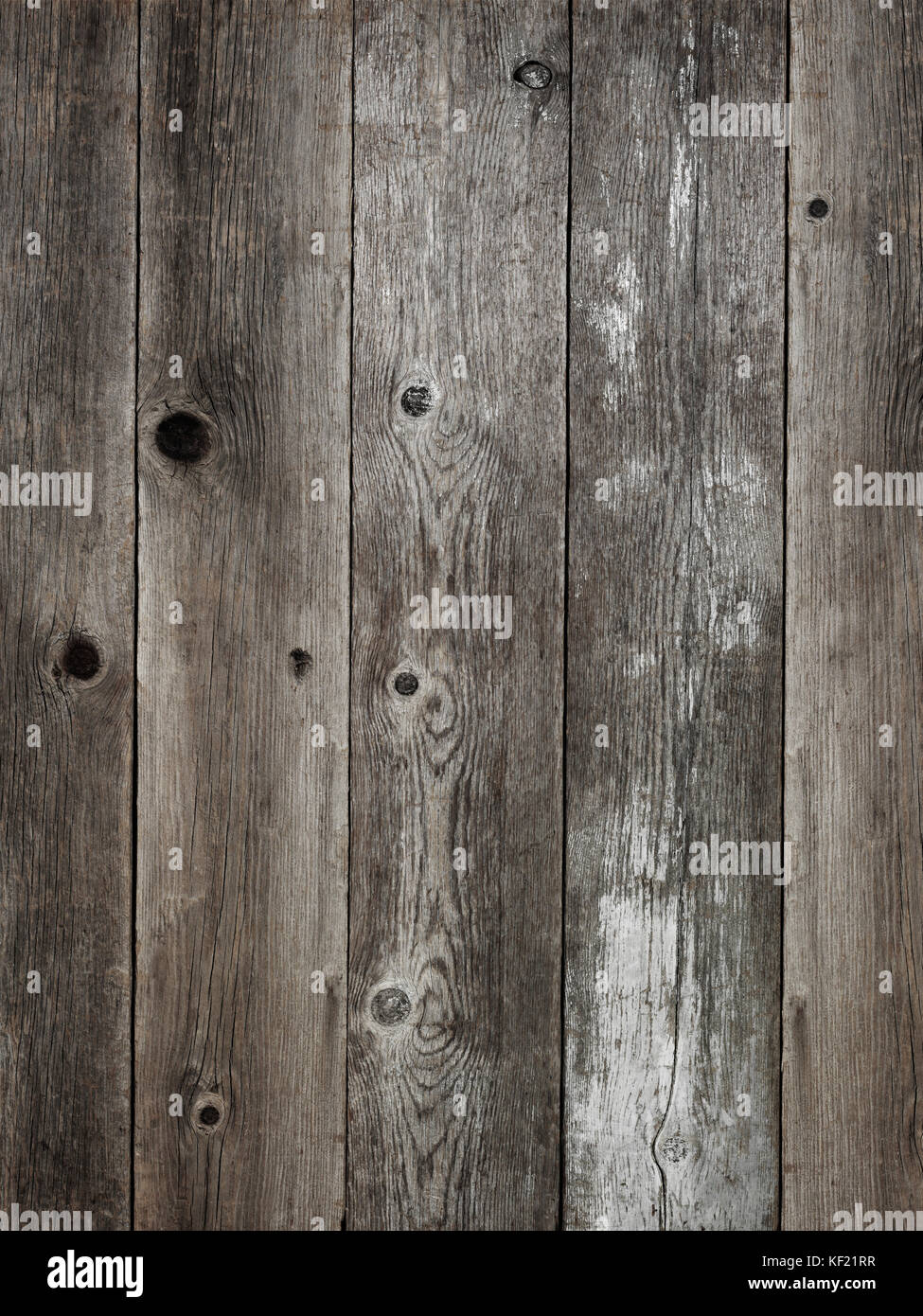 Rustico grigio argento weathered barn wood board sfondo mostrante ricca di granella e nodi Foto Stock