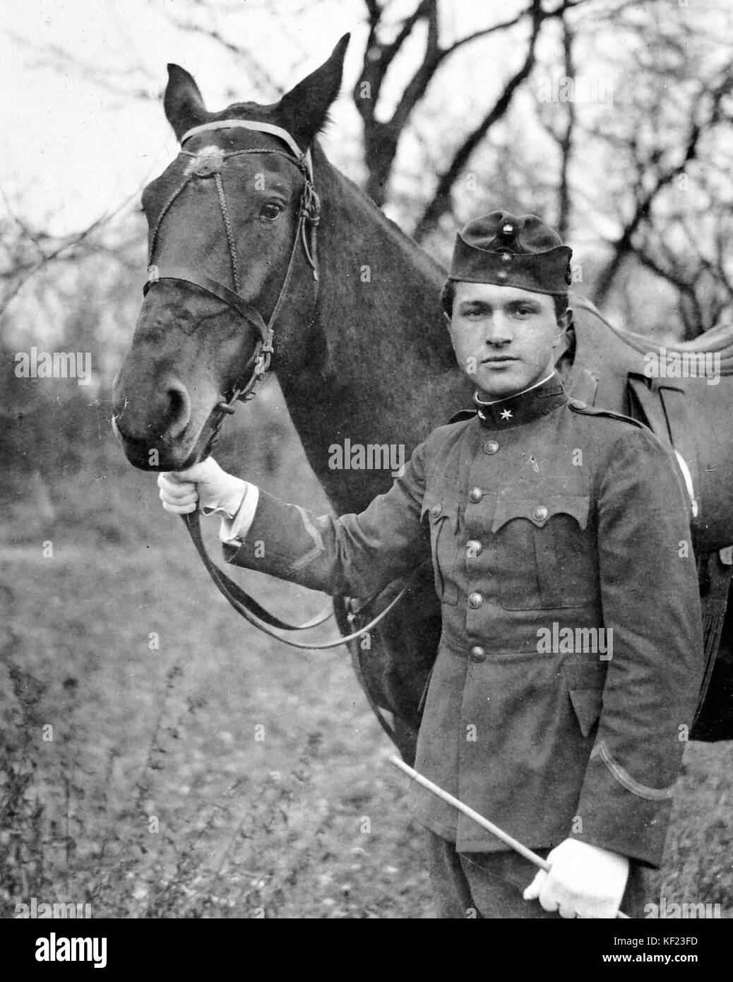 Cavallo 2724 Foto Stock