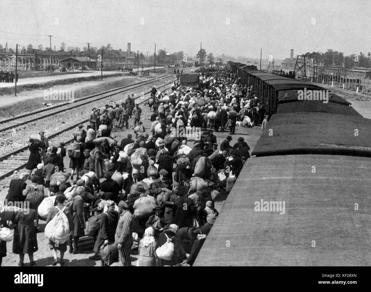 Maggio 1944 ebrei dai Carpazi Ruthenia arrivare ad Auschwitz Birkenau Foto Stock