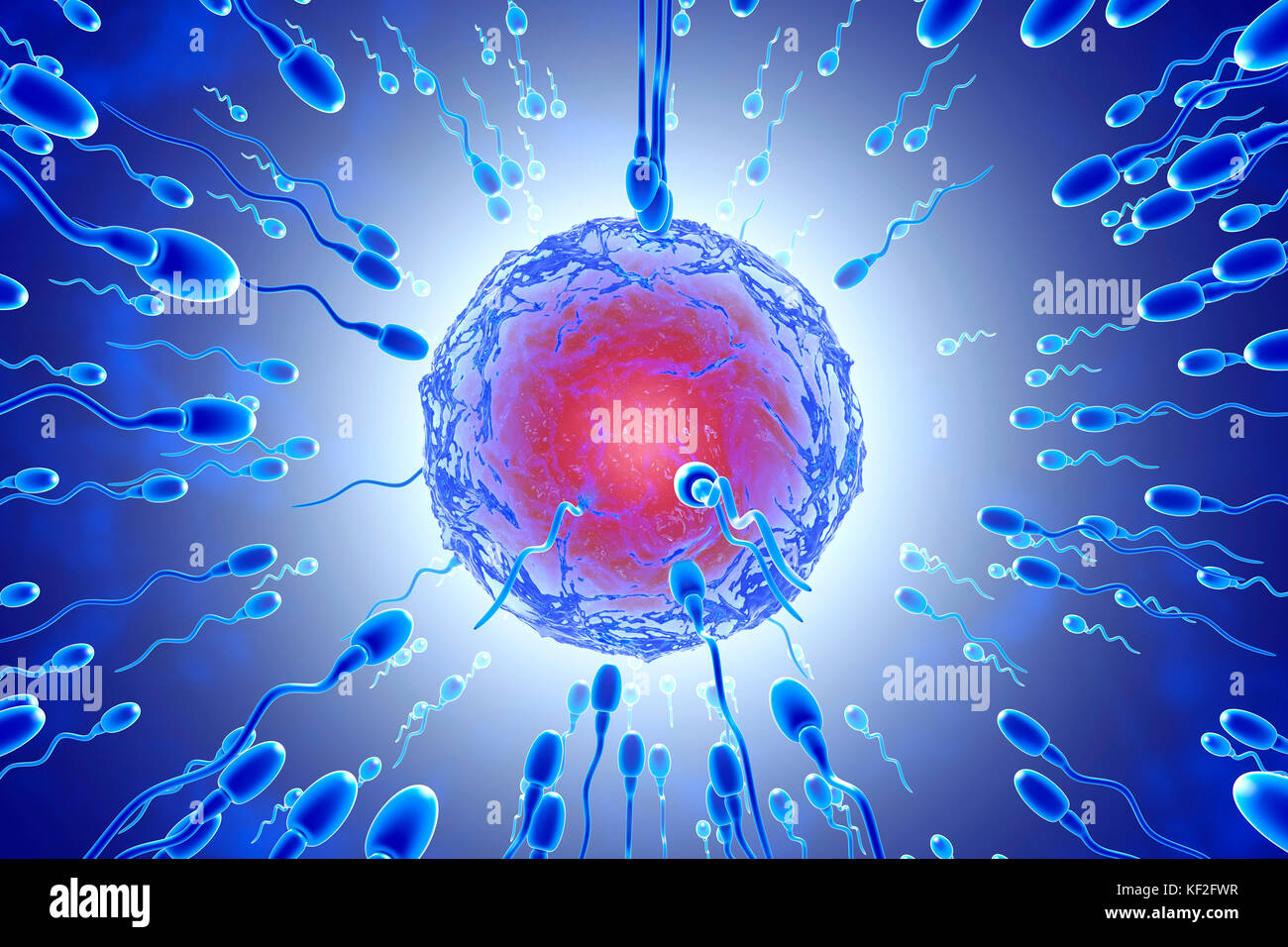 Inseminazione, rendering 3D Foto Stock
