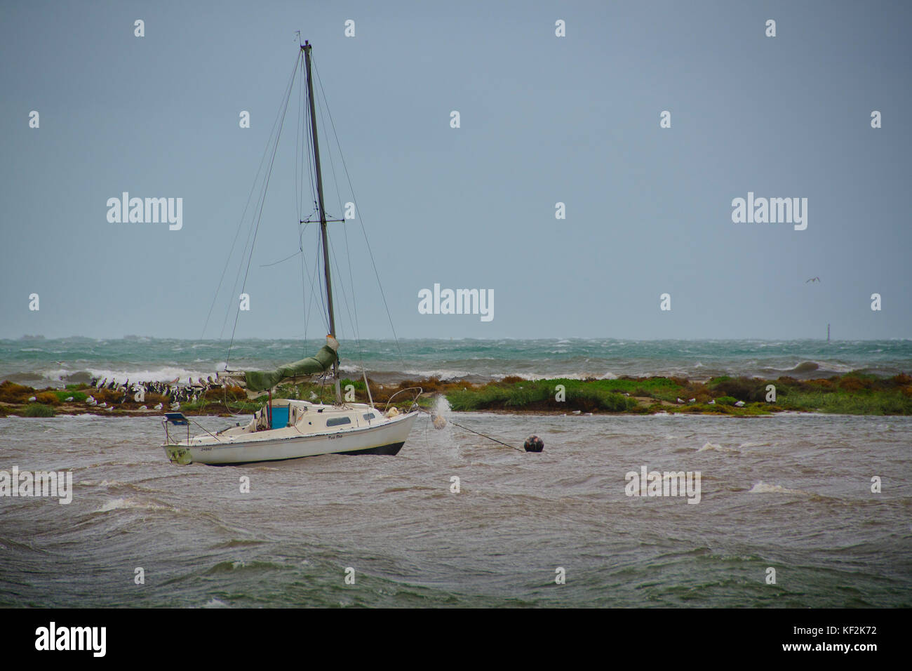 Barche al di ancoraggio essendo martoriata da rigide condizioni meteorologiche durante una tempesta a Rockingham Australia occidentale Foto Stock