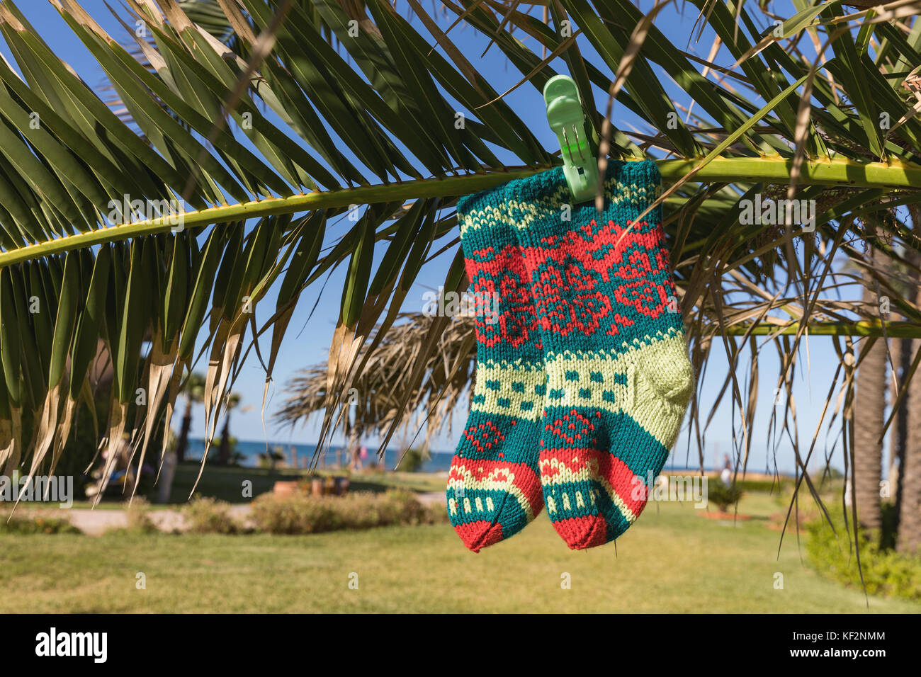 Calza di Natale su Palm tree a esotica spiaggia tropicale. il concetto di vacanza per capodanno carte. calzino di Natale sul palm. monastir, Tunisia Foto Stock