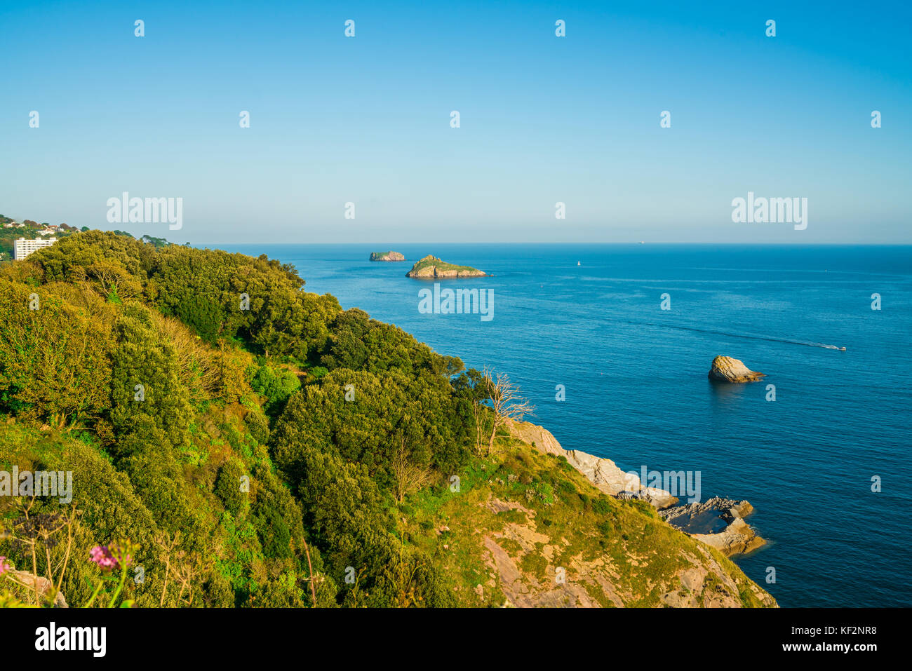 Vista delle coste e del mare in Torquay, South Devon, Regno Unito Foto Stock