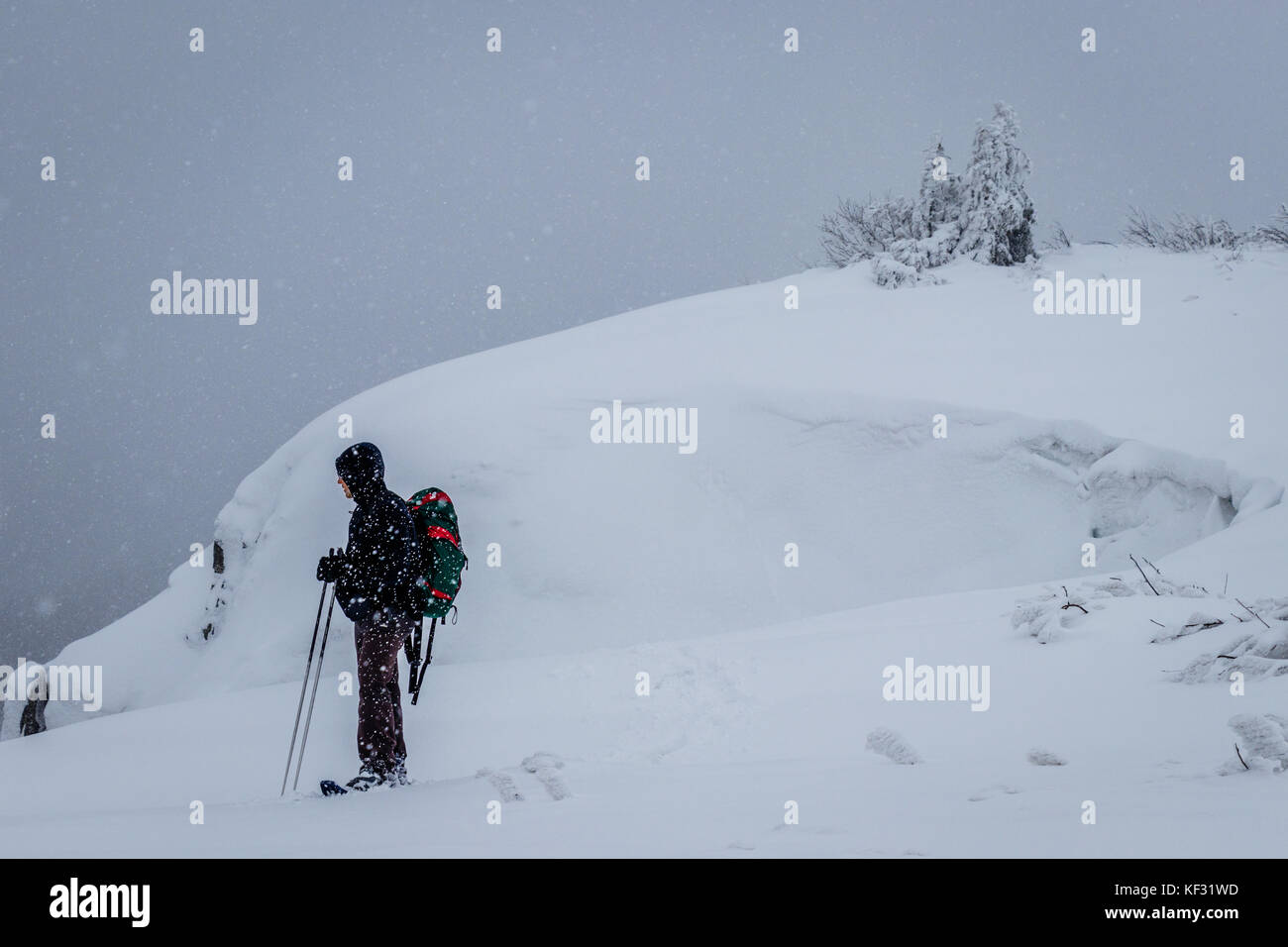 Un solitario escursionista con racchette da neve sfidando una tempesta di neve vicino a una scogliera in 'reprenotazione tanet naturale gazon' durante una giornata invernale nei VOSGI, FRANCIA Foto Stock