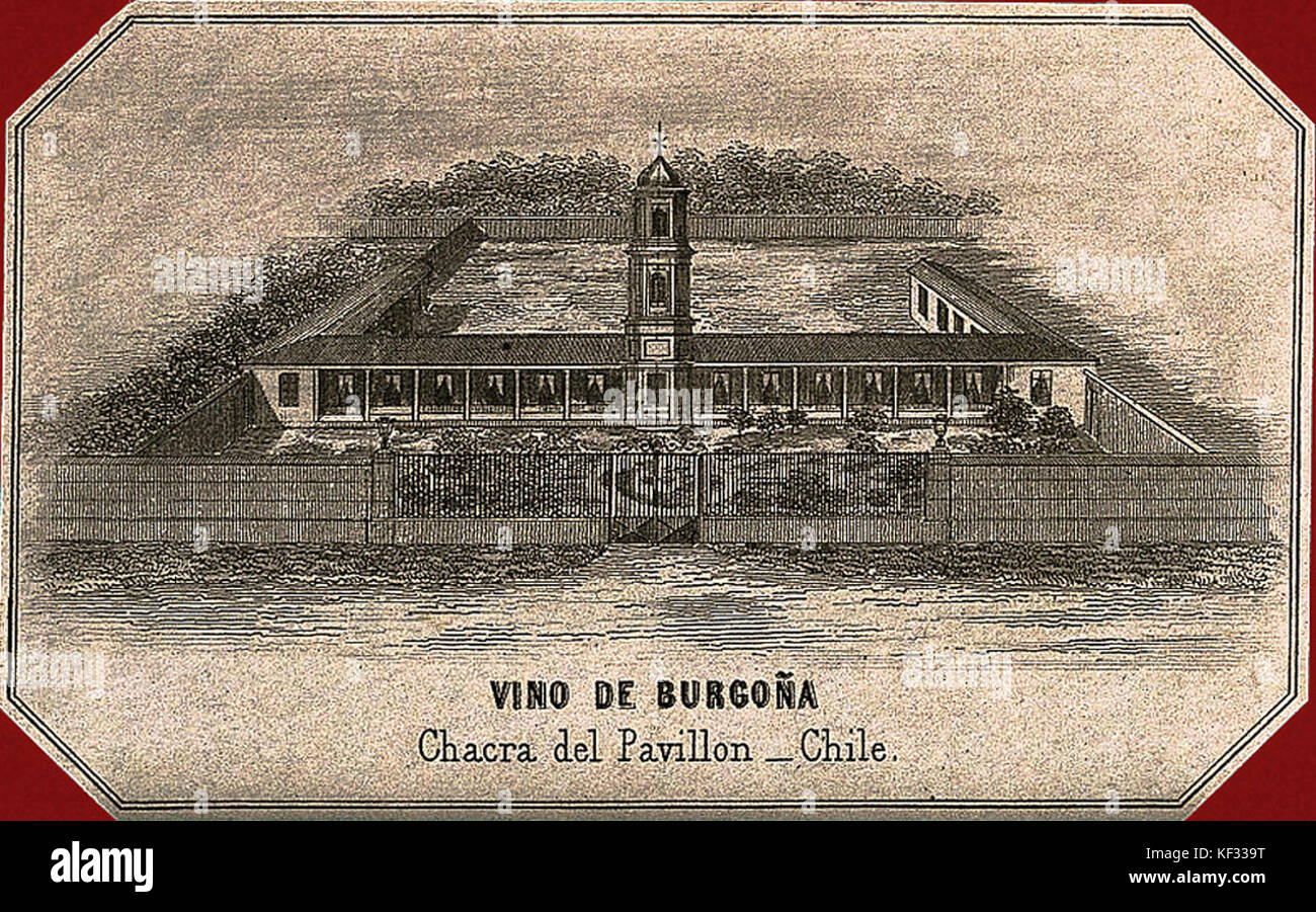 Una storica etichetta di vino della fine del XIX secolo, che rappresenta la produzione di vino di Borgogna in Cile durante quel periodo, che riflette l'influenza delle tradizioni enologiche europee in Sud America. Foto Stock