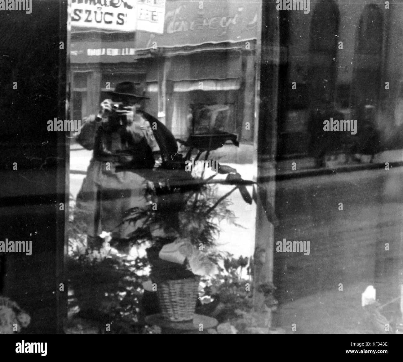 Fotografia, segno bordo, fiore, Mostra finestra, autoritratto 3111 Foto Stock