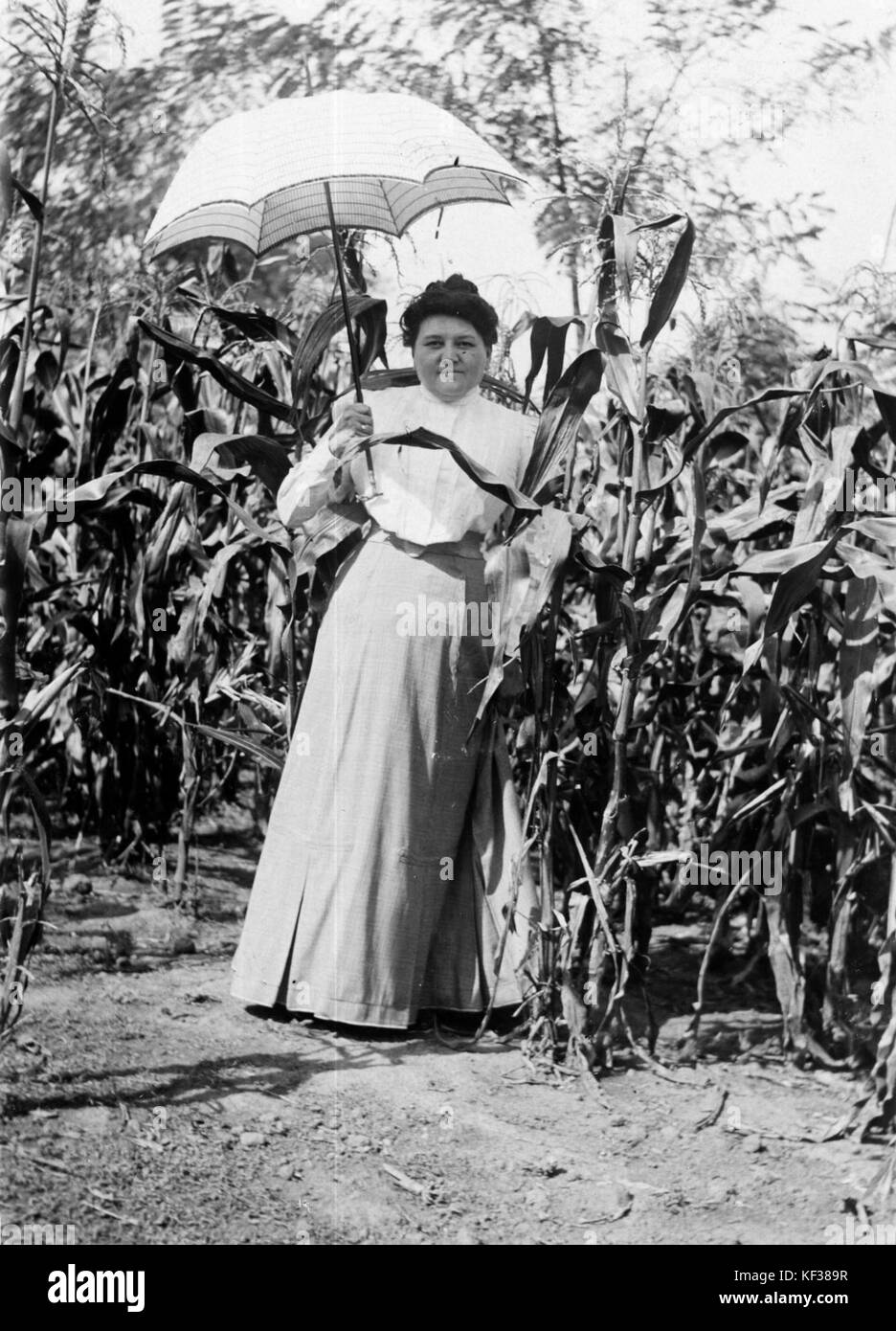 Ombrelloni 52713 Foto Stock