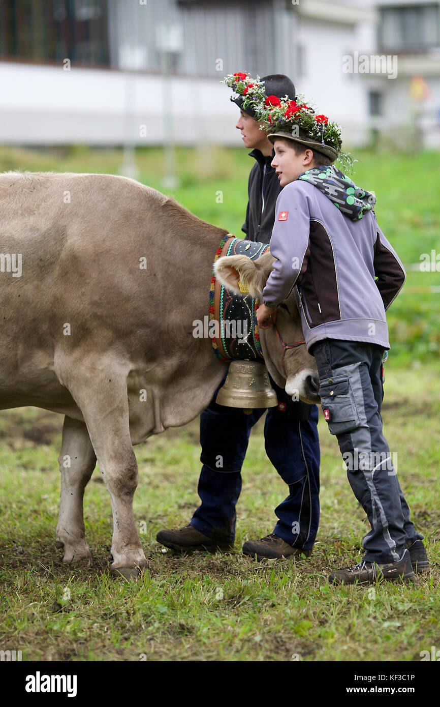 Bovini in Lech, Austria Foto Stock