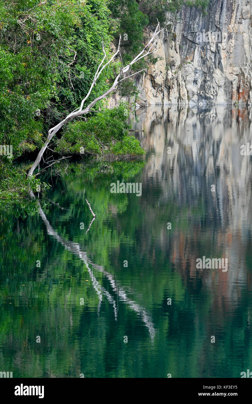 Acqua pulita Foto Stock