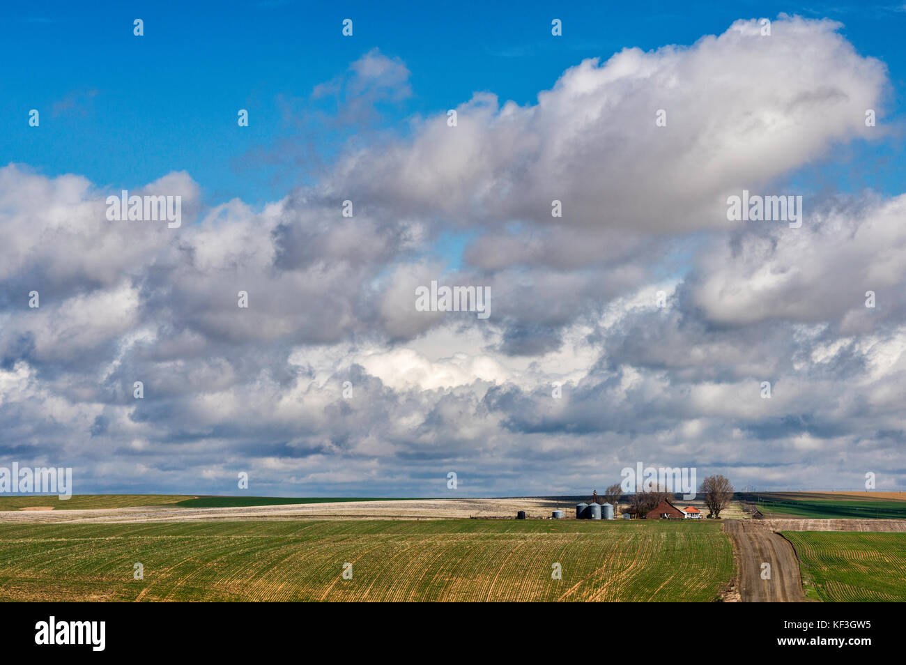 Cumulus e Cumulonimbus nuvole sulla fattoria a Plateau Umatillo, parte di Columbia Plateau, vicino Otello, Washington, Stati Uniti d'America Foto Stock