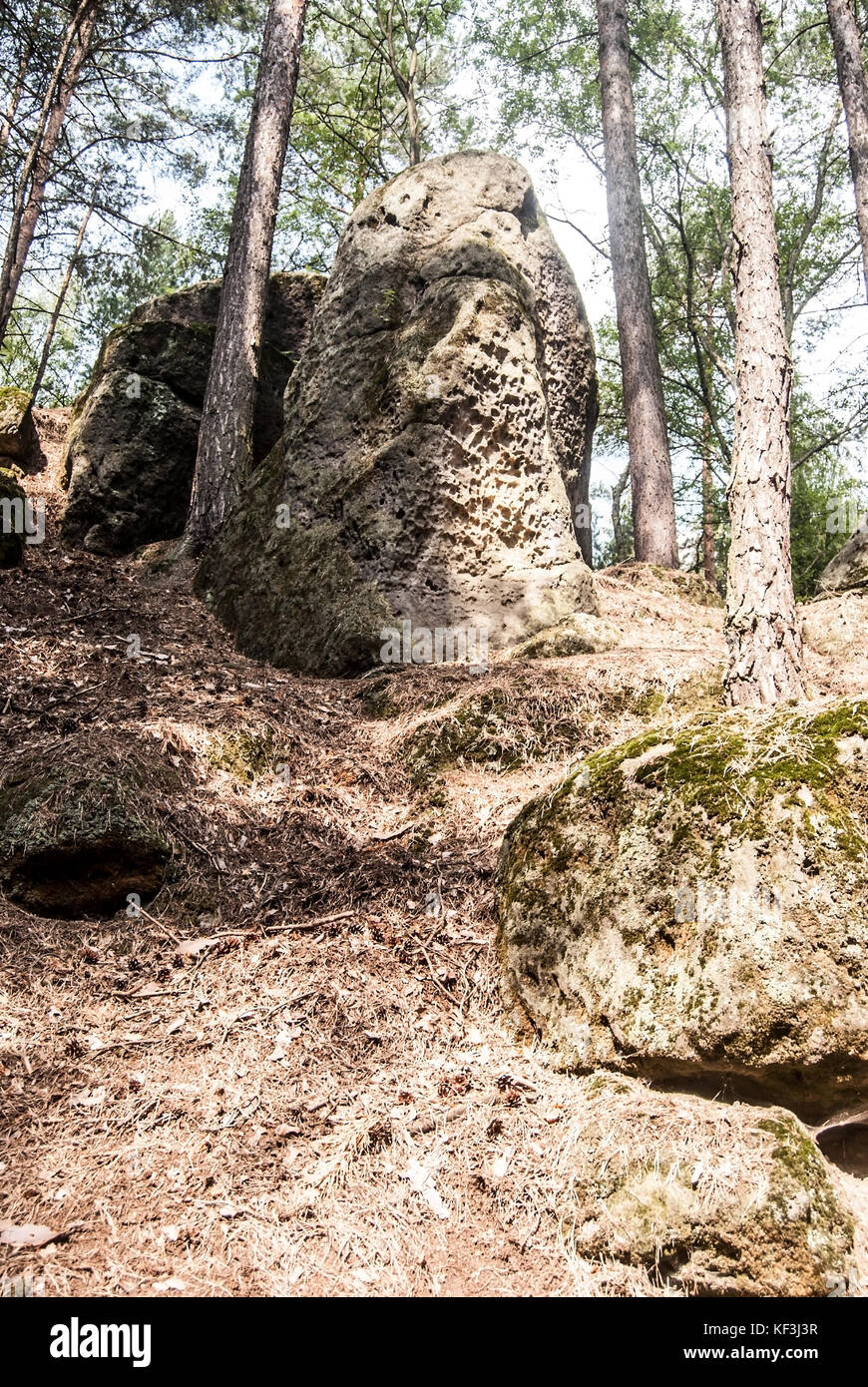 Isolato di rocce di arenaria con alberi intorno vicino mseno in chko kokorinsko in Repubblica ceca Foto Stock