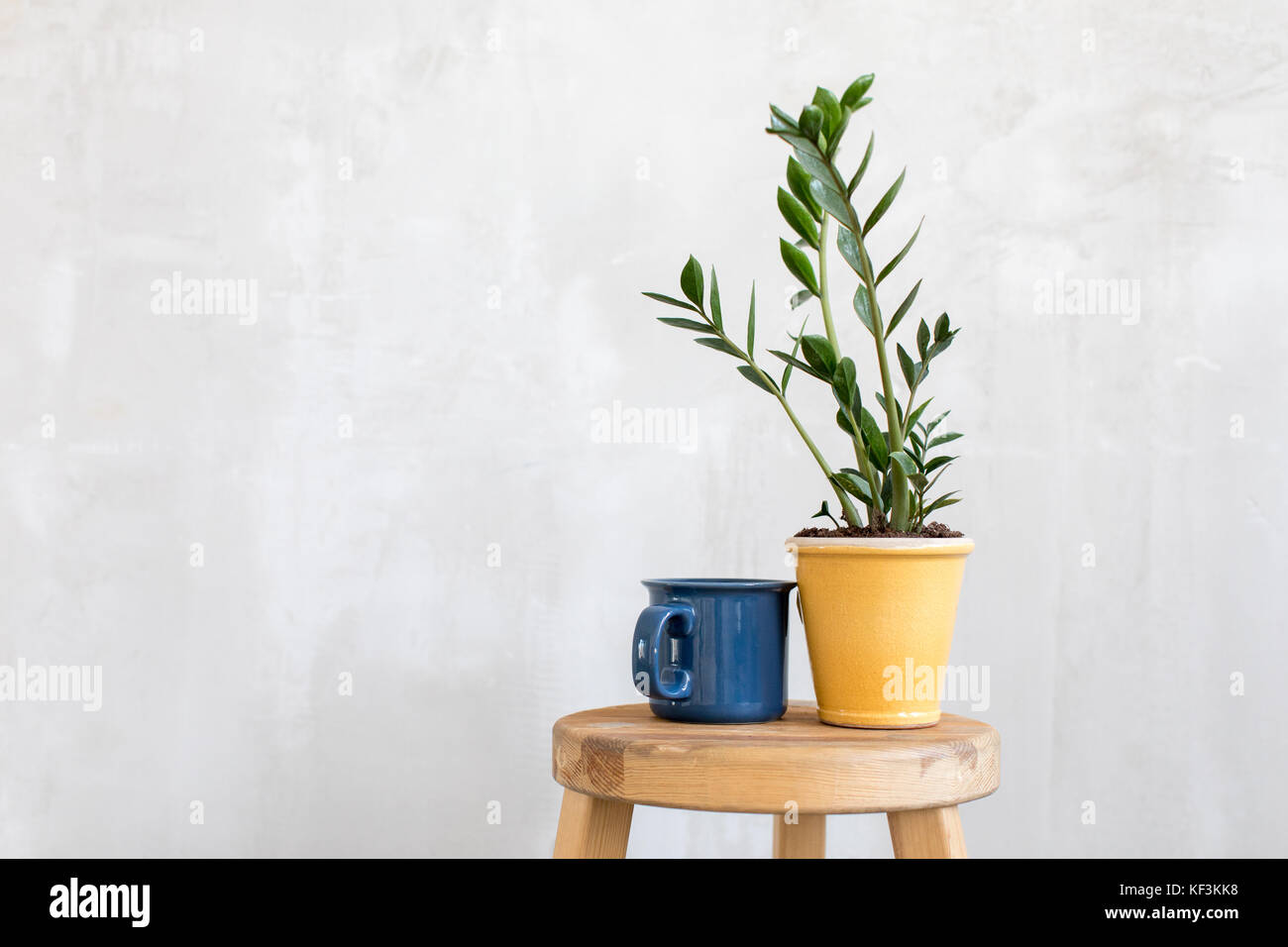 Composto da vaso e mug contro il muro grigio Foto Stock