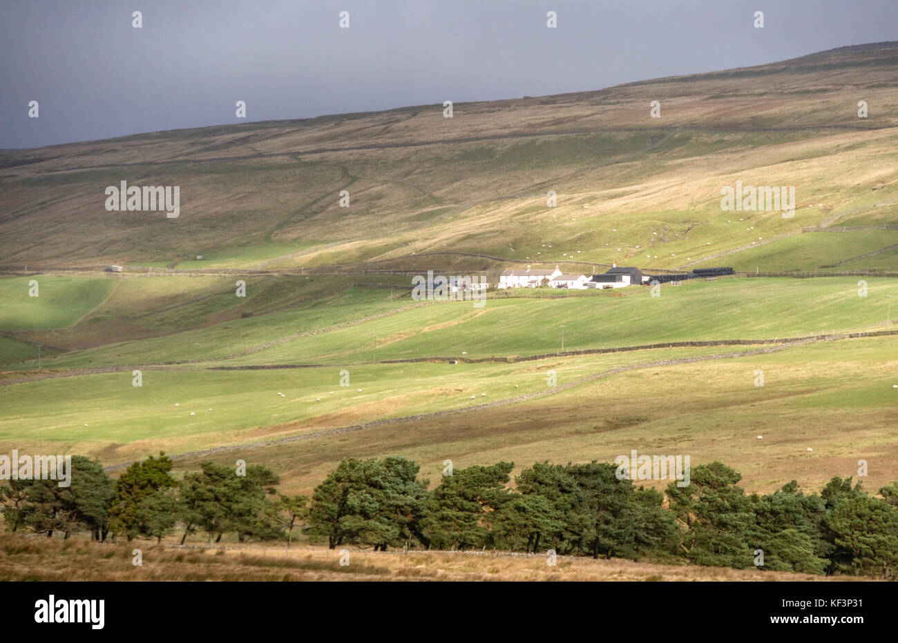 Remote comunità agricole in Teesdale superiore, nella contea di Durham, England, Regno Unito Foto Stock
