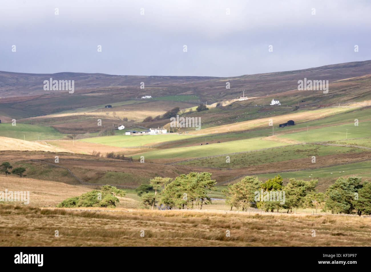Remote comunità agricole in Teesdale superiore, nella contea di Durham, England, Regno Unito Foto Stock