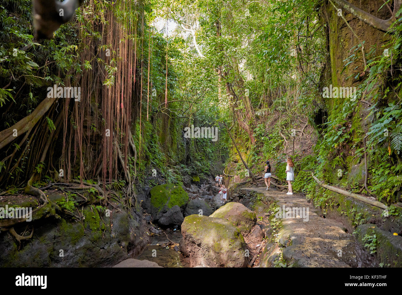 I turisti camminano su un sentiero nel Santuario della Foresta delle scimmie Sacre. Ubud, Bali, Indonesia. Foto Stock