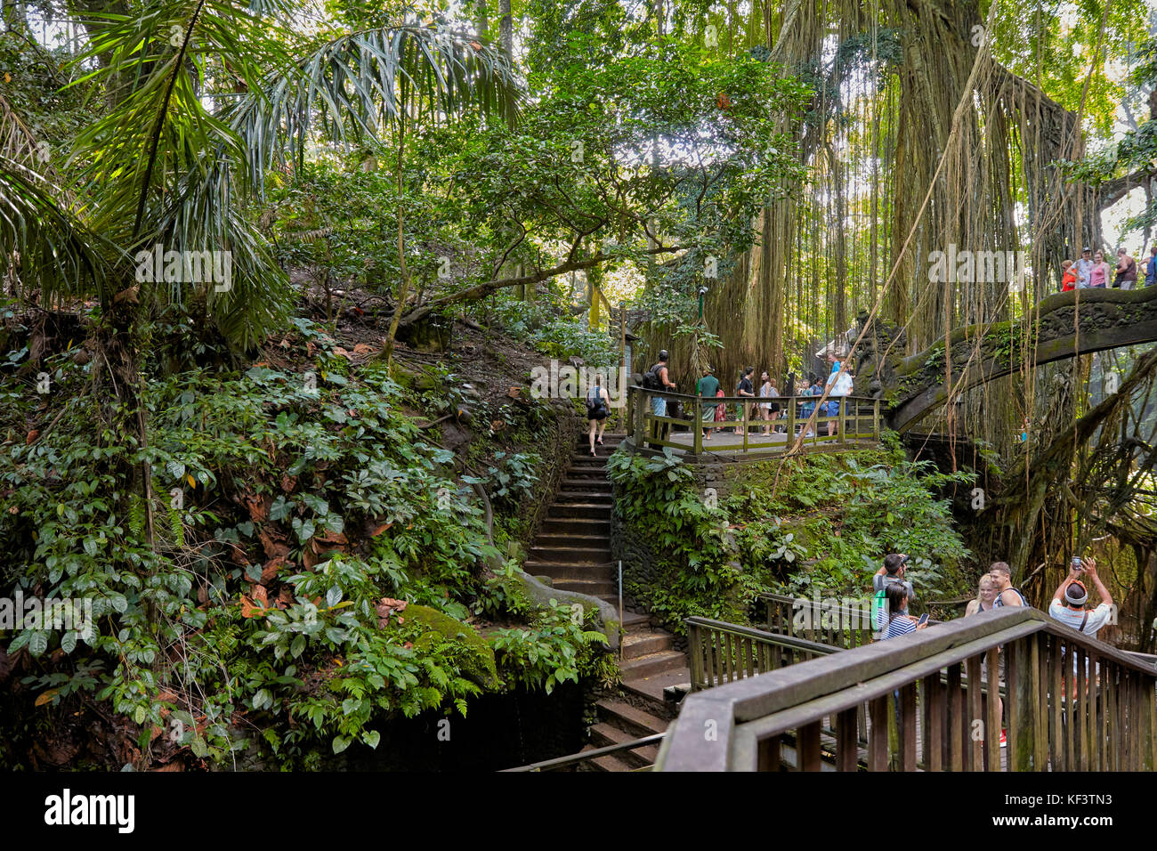 I turisti camminano sul ponte di legno nel Santuario della Foresta delle scimmie Sacra. Ubud, Bali, Indonesia. Foto Stock