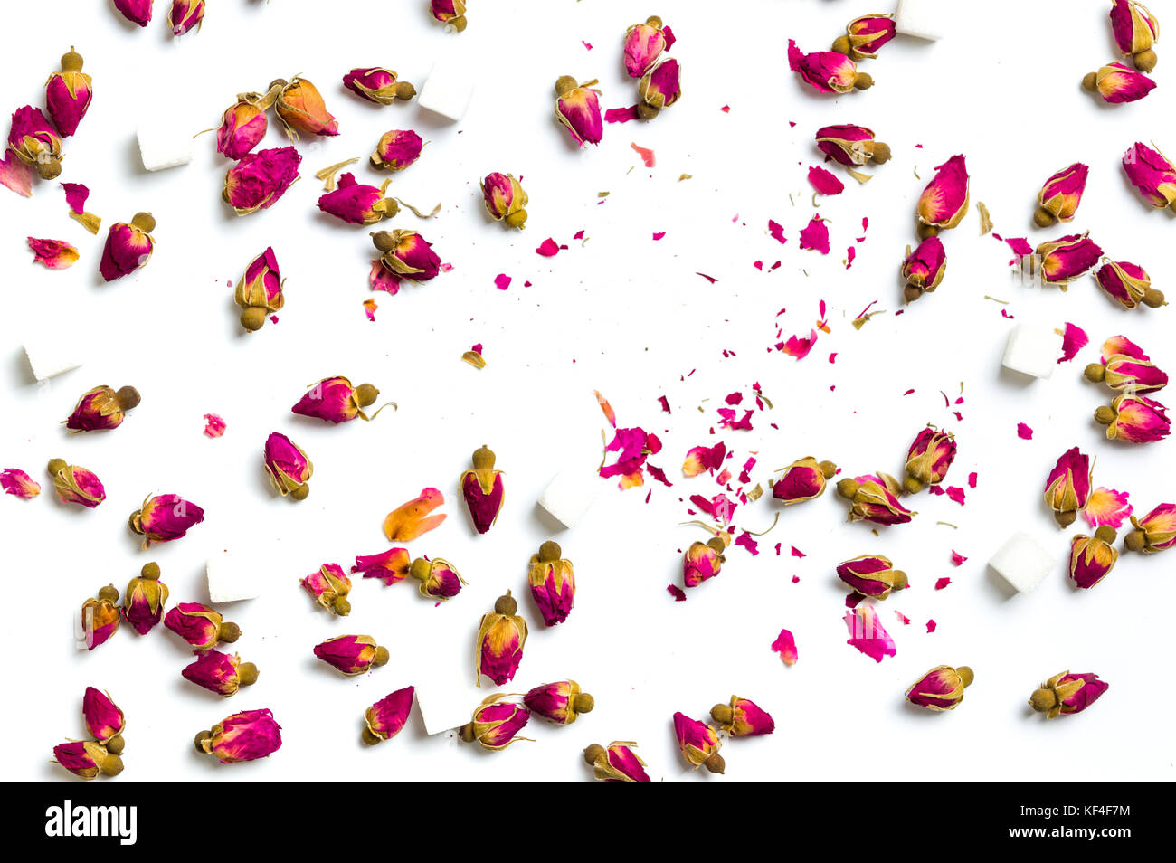 Rose fiori di tè e zucchero i cubi su sfondo bianco Foto Stock