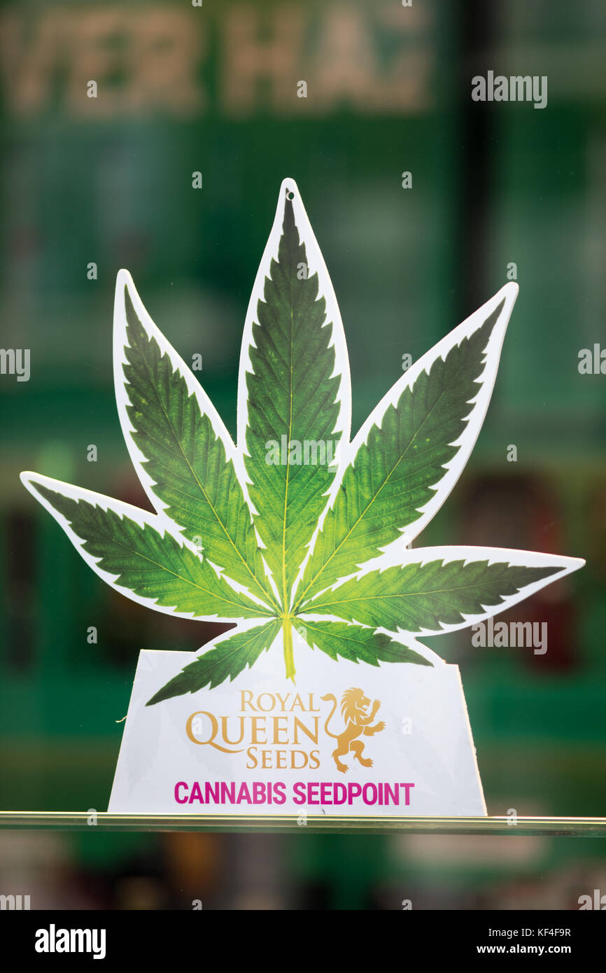 Negozio di vendita di cannabis, il quartiere a luci rosse di Amsterdam, Paesi Bassi Foto Stock