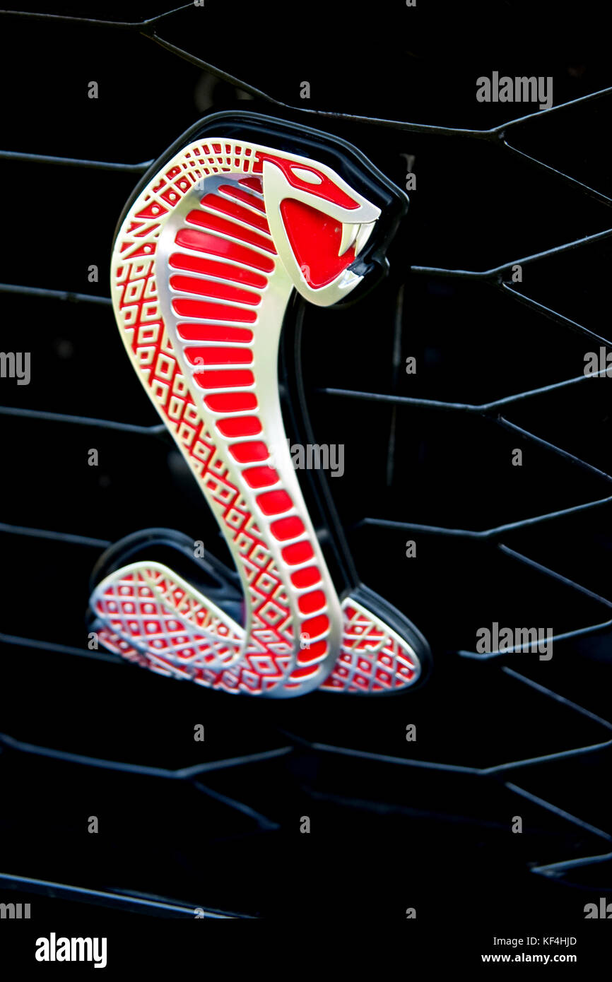 Montreal, Canada, 20 agosto 2011. Primo piano di un emblema Mustang Shelby Cobra. Crediti: Mario Beauregard/Alamy Live News Foto Stock