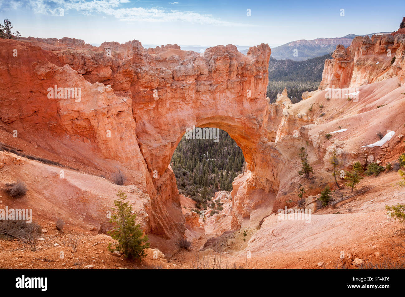 Il ponte naturale, tecnicamente un arco, una formazione di roccia nel parco nazionale di Bryce Canyon, Utah. Foto Stock