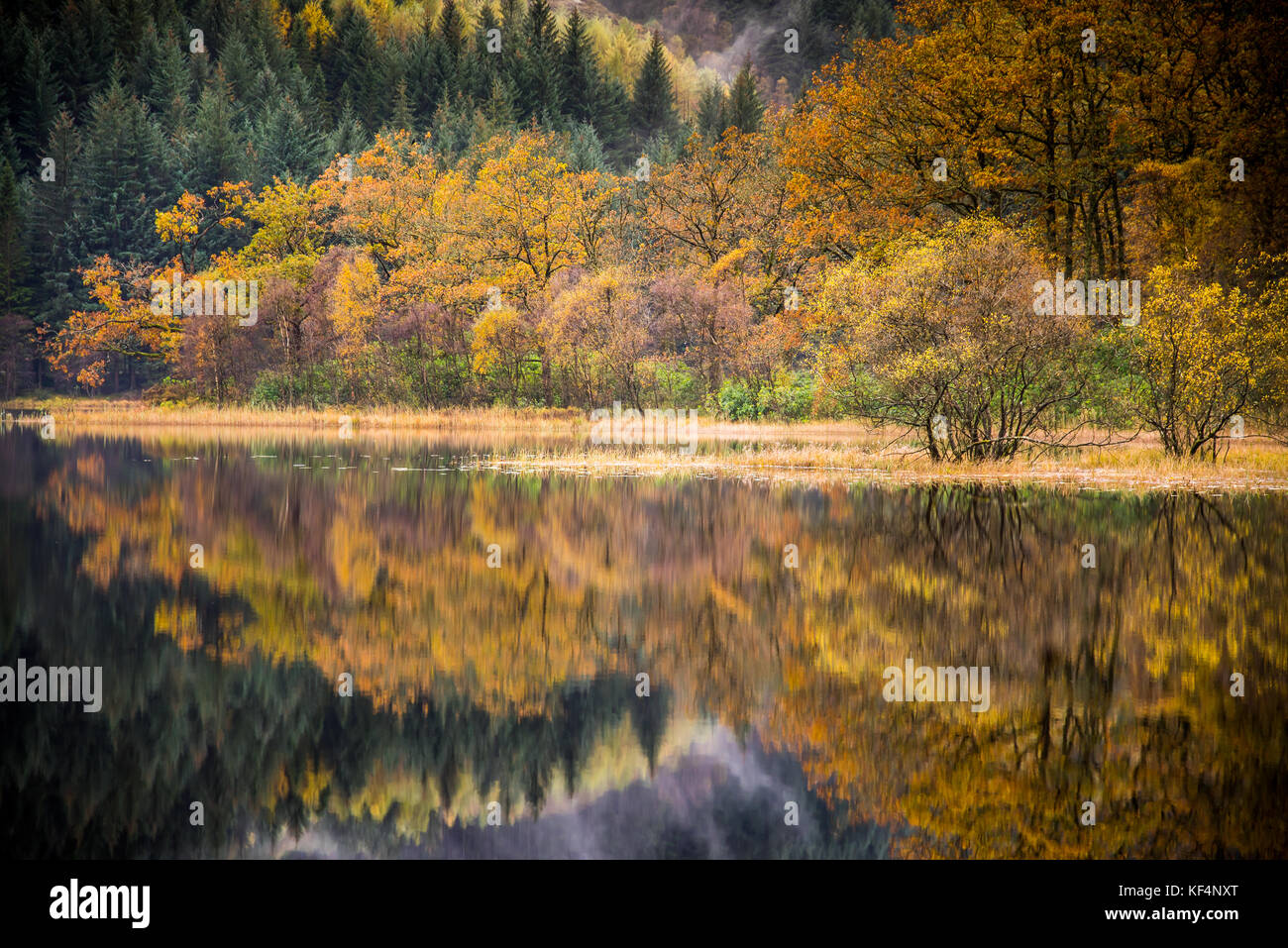 Autunno riflessi nell'acqua di un lago in Scozia Foto Stock