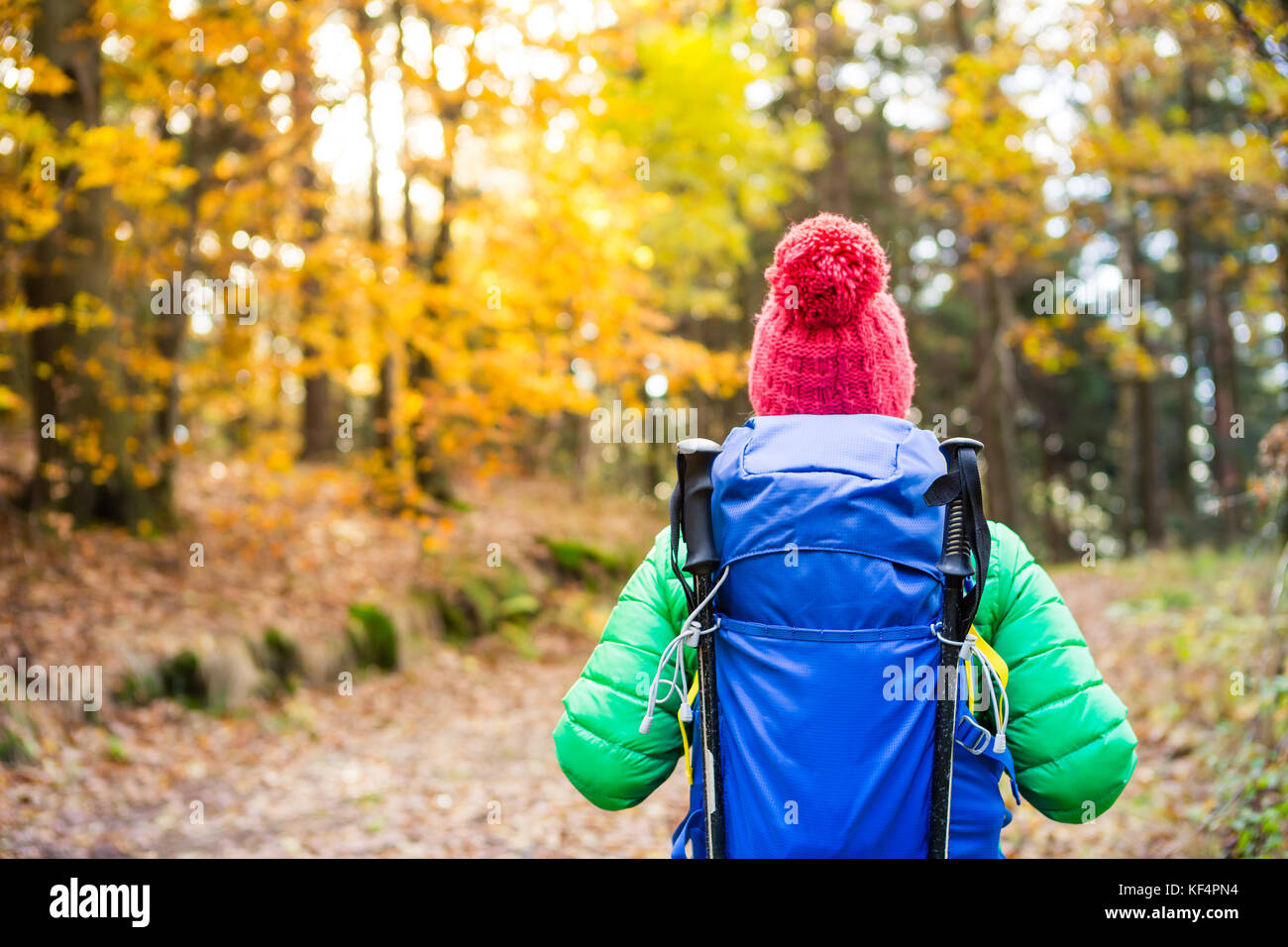Escursionismo donna con zaino in cerca di ispirazione autunno golden boschi. Viaggi fitness e uno stile di vita sano all'aperto nella stagione autunnale. Viaggiare fema Foto Stock