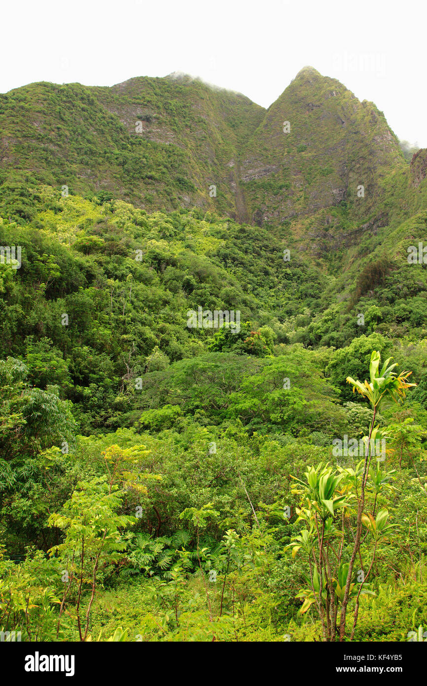 Hawaii Maui, iao Valley State Park, Foto Stock