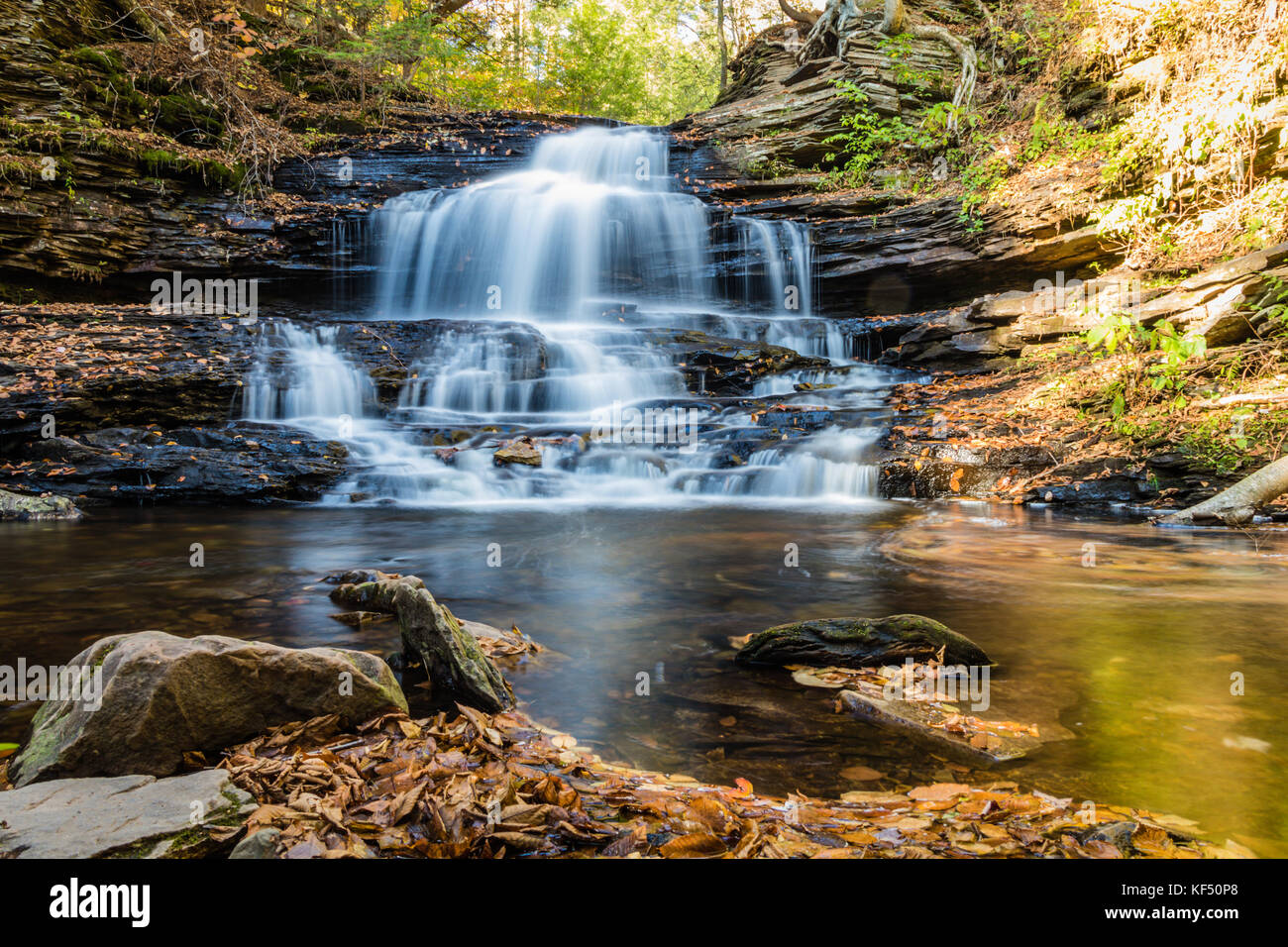 Le cascate sono circondato da colorati caduta delle foglie del Ricketts Glen State Park di Benton, pa Foto Stock