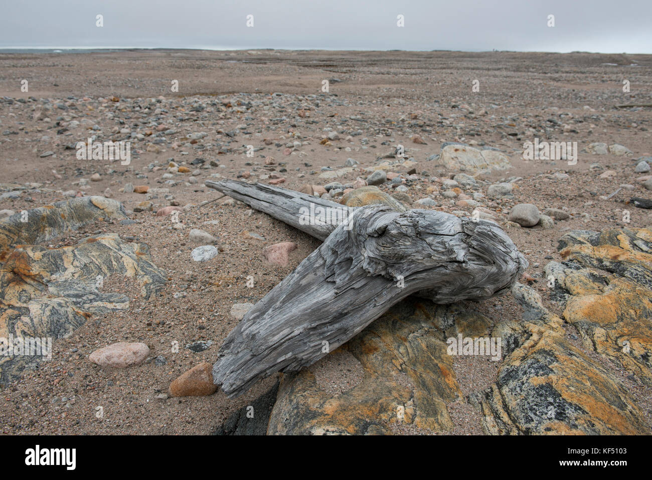 Norvegia, Svalbard, Nordaustlandet, isola desolata di Kvitoya. Isola dove tre esploratori svedesi (Andree, Strindberg & Fraenkel) erano strande Foto Stock