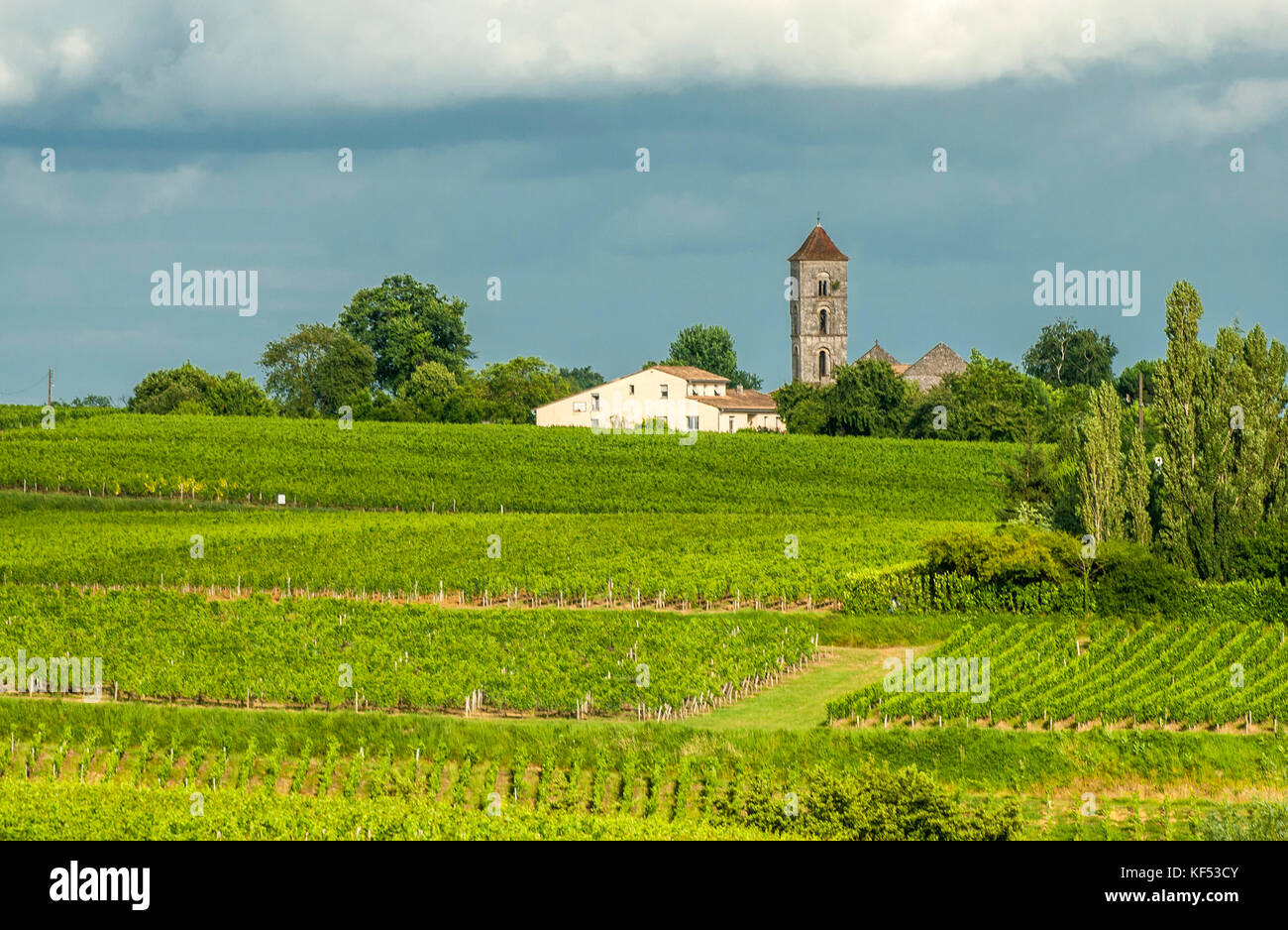 Francia, Gironde, montagne, steeple di st georges chiesa figurante nell'AOC st georges-st-Emilion vigna Foto Stock