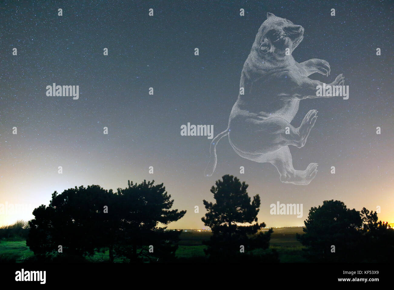 La Normandia. manche. pointe d'Agon coutainville. la costellazione del grande orso e la sua figura allegorica emerge dall'orizzonte. Foto Stock