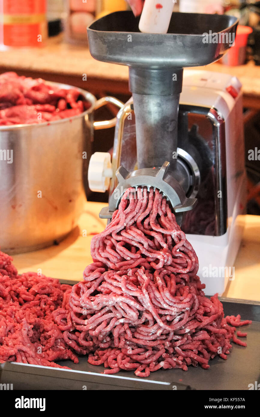 Trasformazione e macinazione di carne di alce a casa. Foto Stock