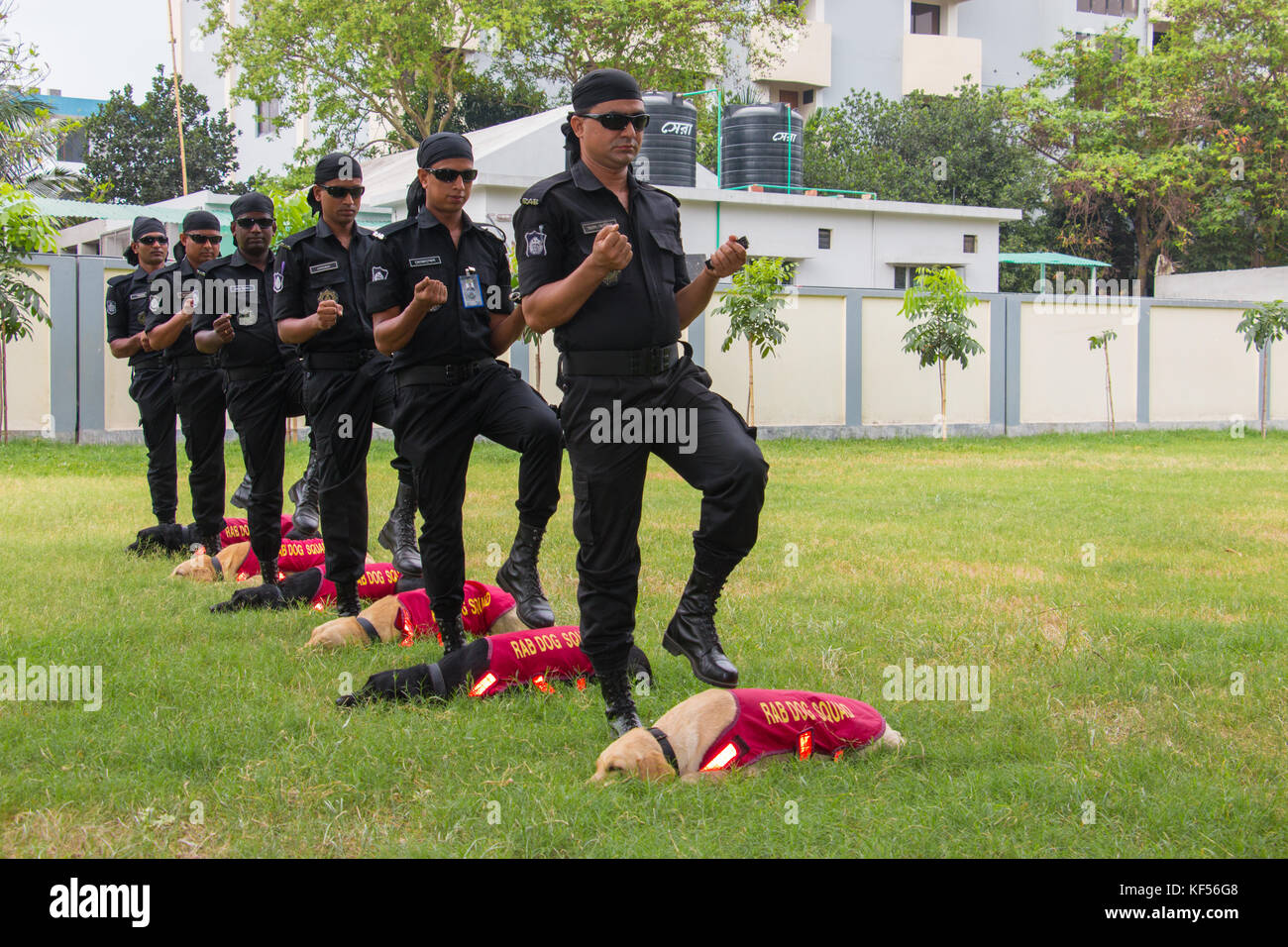 La squadra del cane è parte straordinaria per prevenire il terrorismo, il traffico di droga, bomba trovare, catturato il terrore e molte più attività Foto Stock