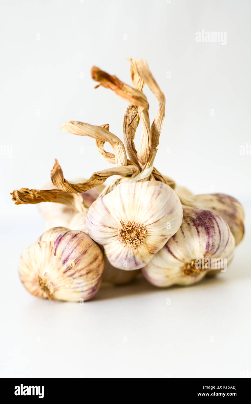Primo piano di un mazzetto di bulbi di aglio su sfondo bianco Foto Stock