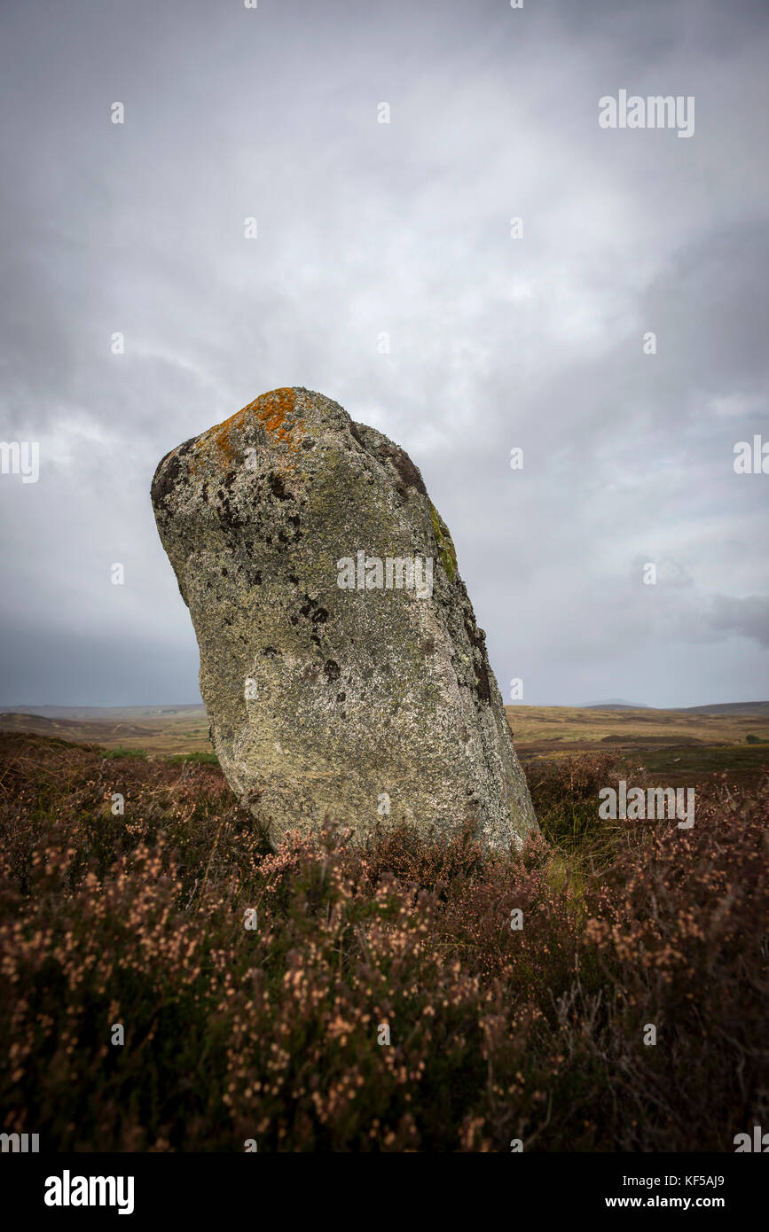 Achnagarron pietre permanente nei pressi di Rogart, Sutherland, Highlands scozzesi, REGNO UNITO Foto Stock