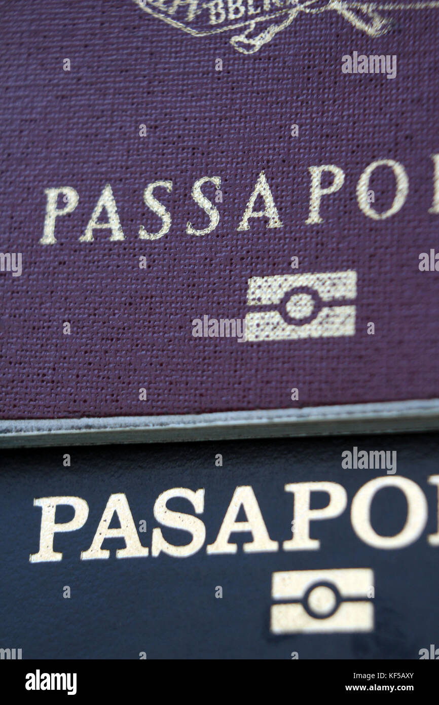 Due passaporti diversi da Italia e Argentina, close-up Foto Stock
