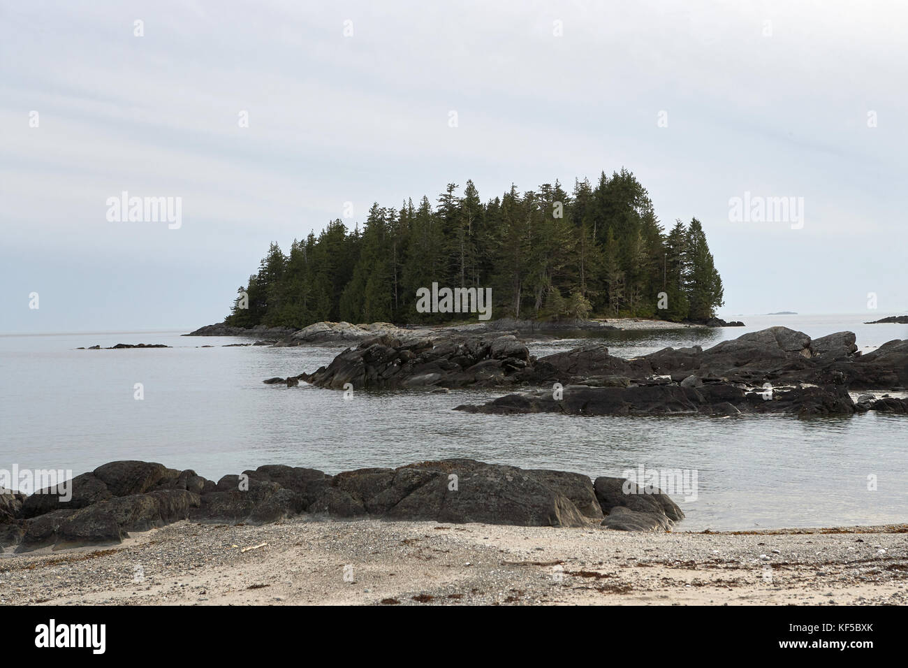 Alberi su isola a foggy bay, Alaska, Stati Uniti d'America Foto Stock