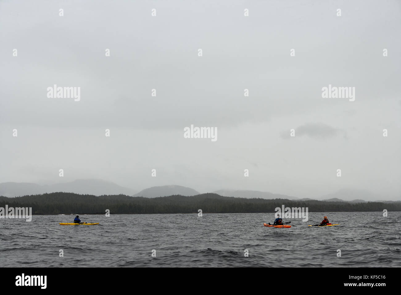 Piccolo gruppo di kayakers paddling in foggy bay, Alaska, Stati Uniti d'America Foto Stock