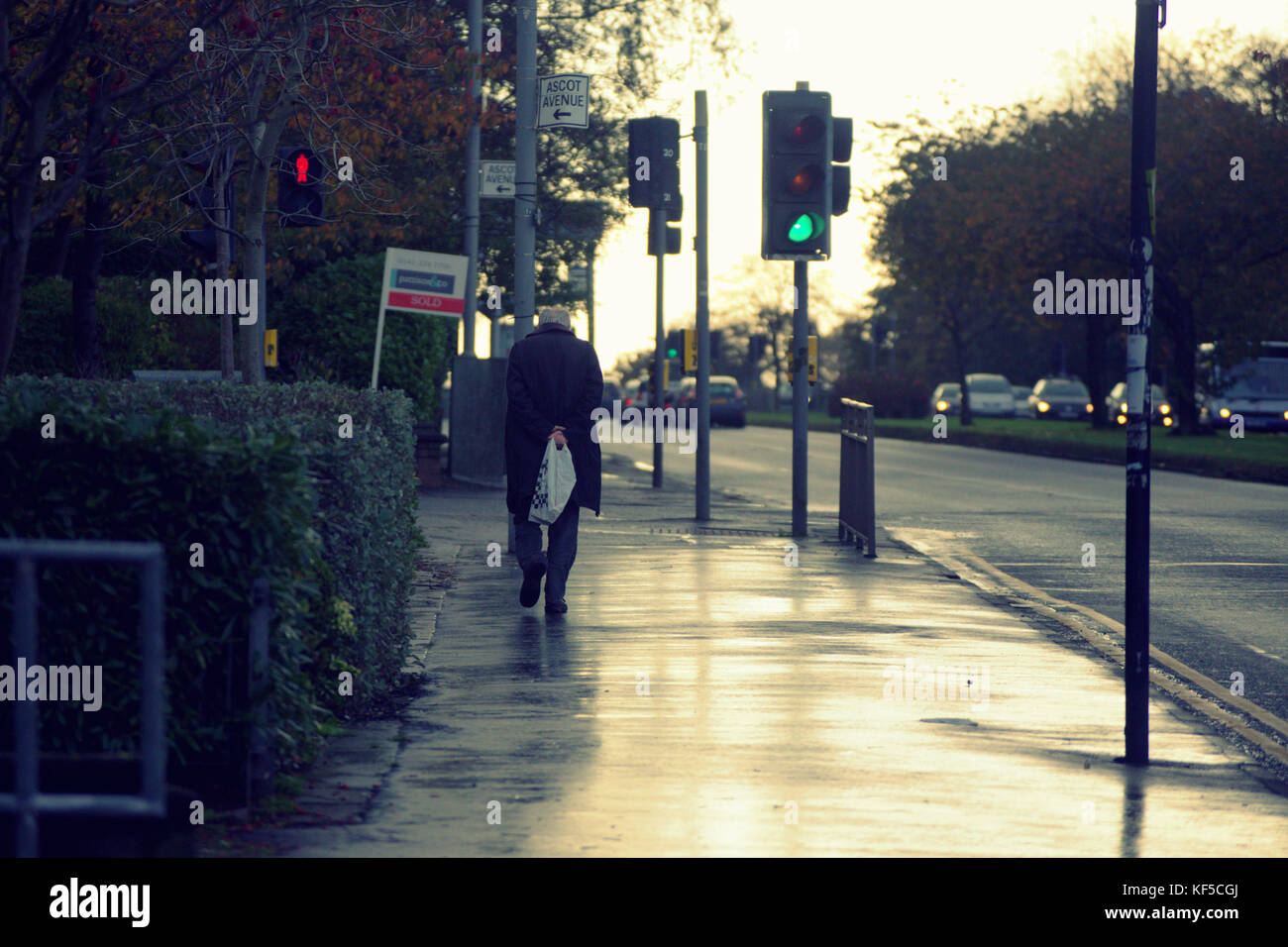 Wet Rainy Streets pavimento bagnato semaforo singolo uomo figura il sacchetto in plastica da solo il vecchio senior visto da dietro Foto Stock