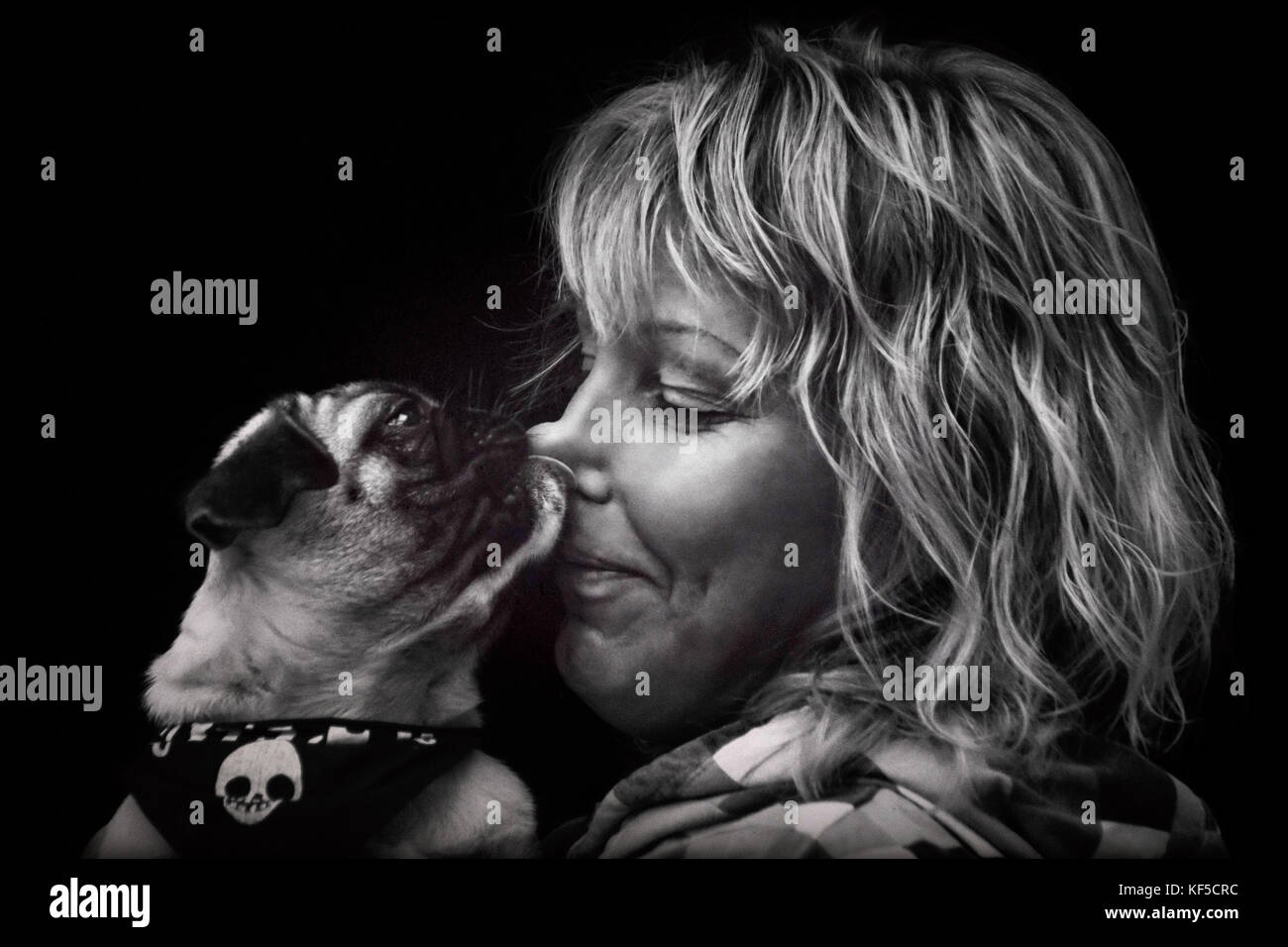 Pug cucciolo di cane lecca il naso di una donna bionda Foto Stock